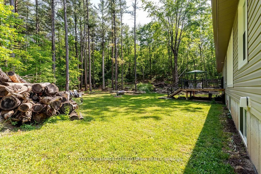 51 Pine Grove Road