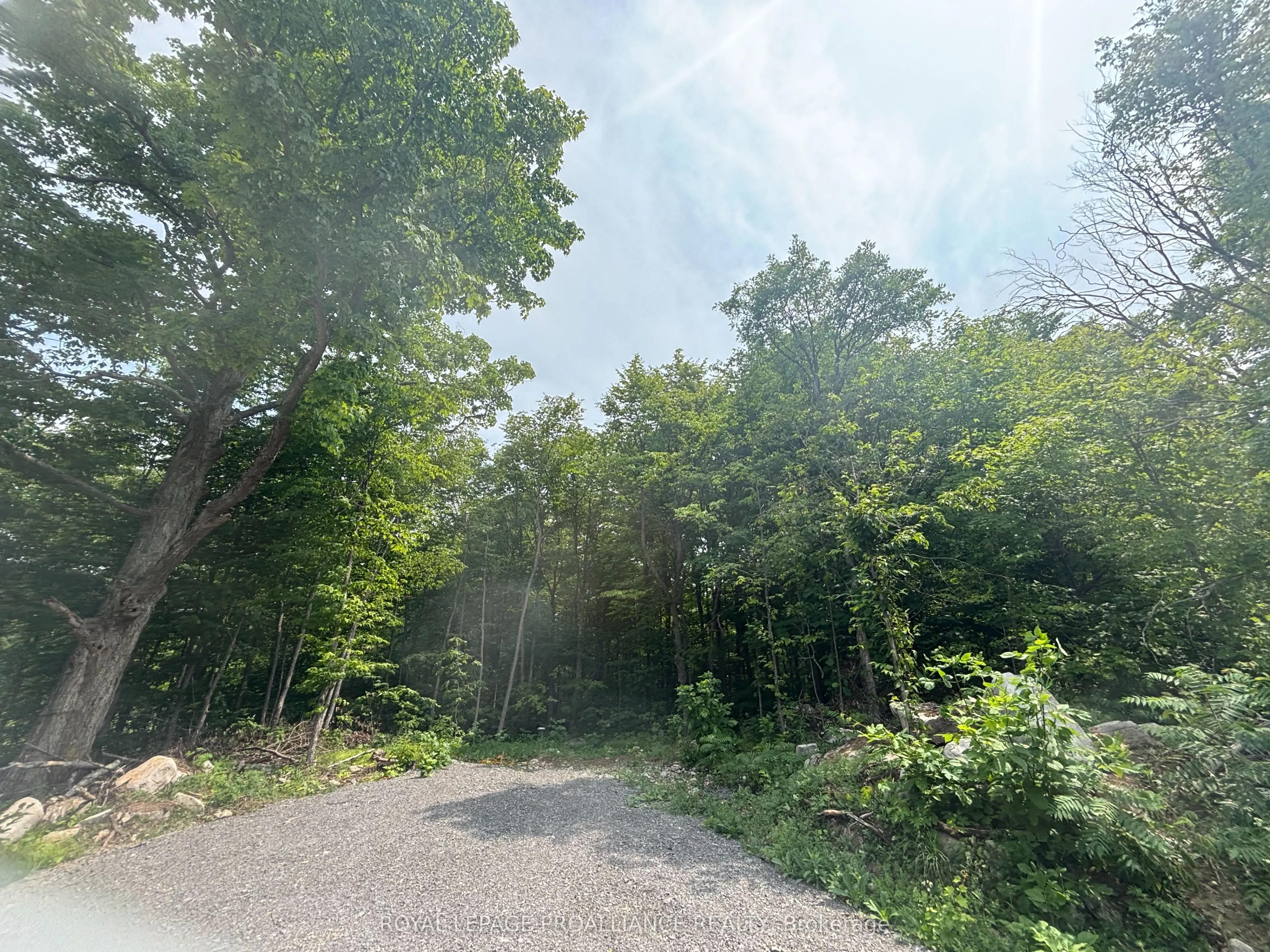 554 Pigden Road, #Severed B