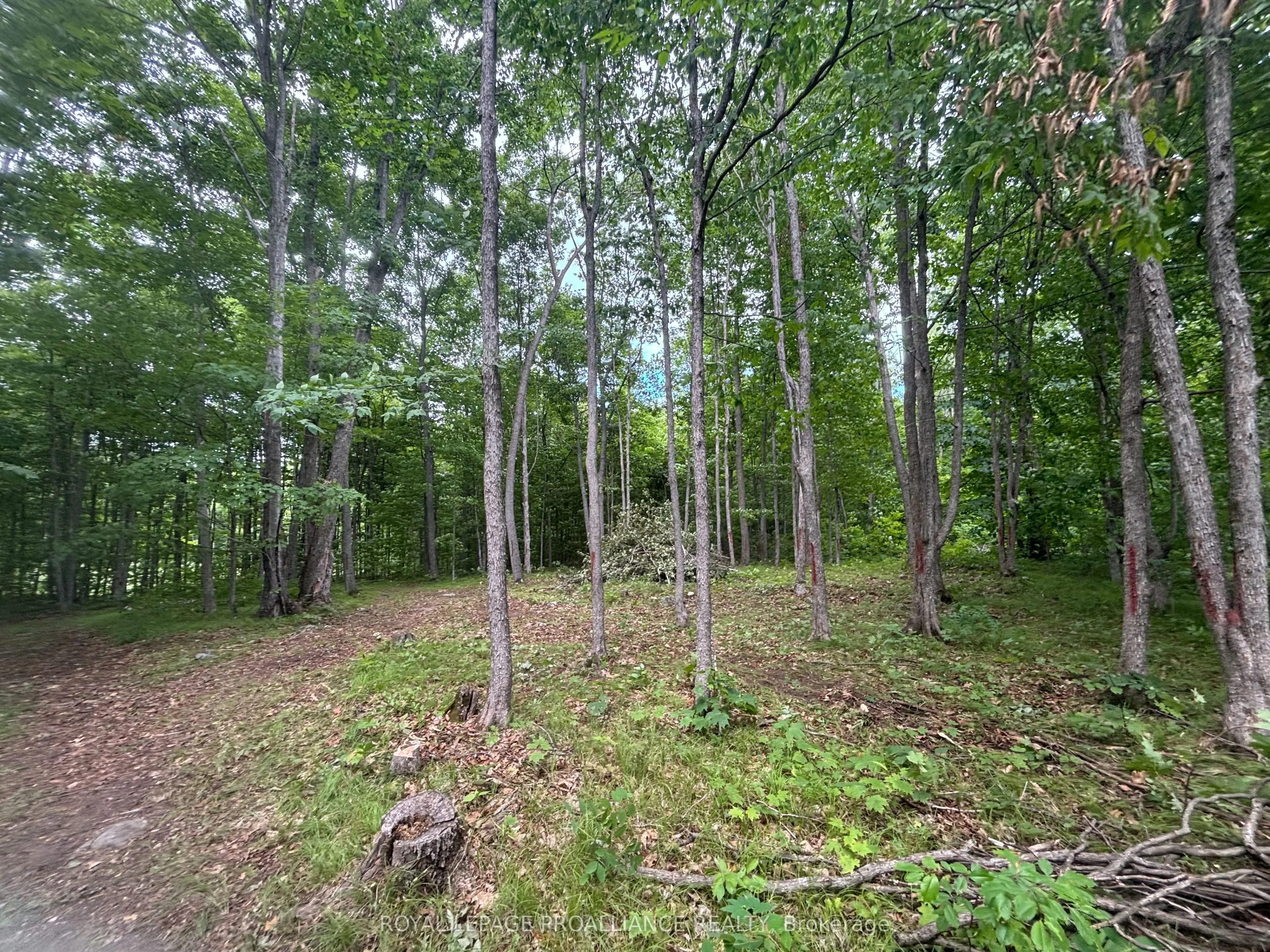 554 Pigden Road, #Severed B