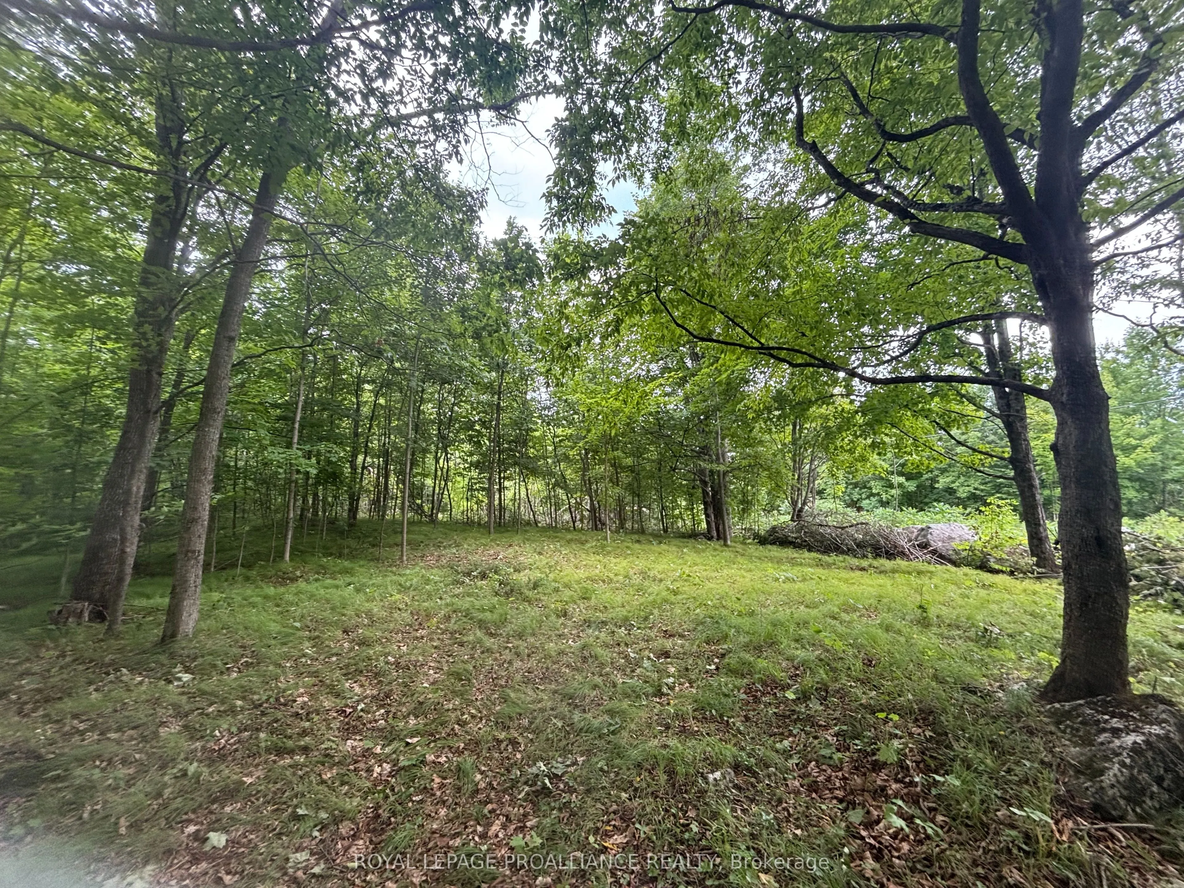 554 Pigden Road, #Severed B