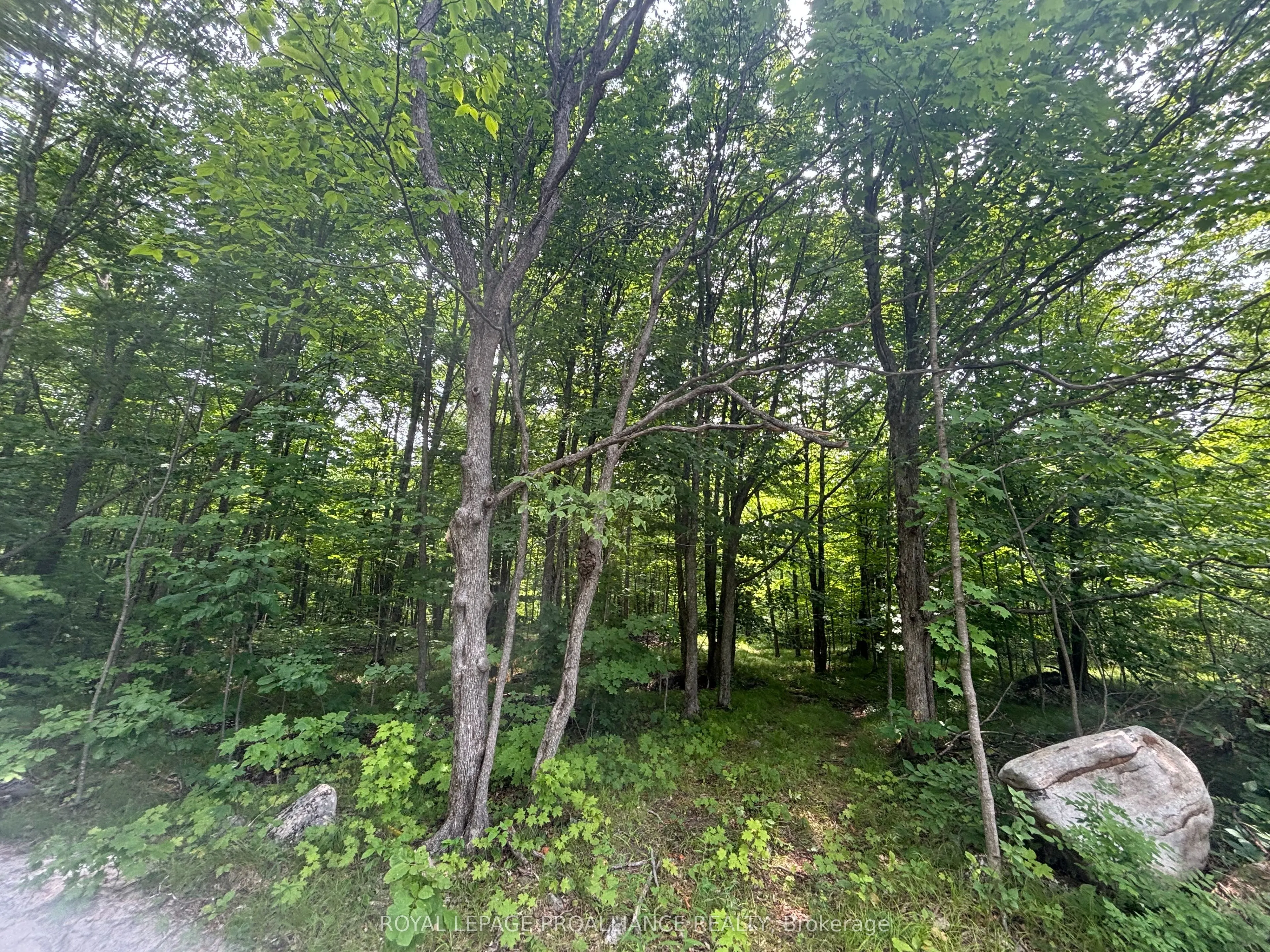 554 Pigden Road, #Severed B