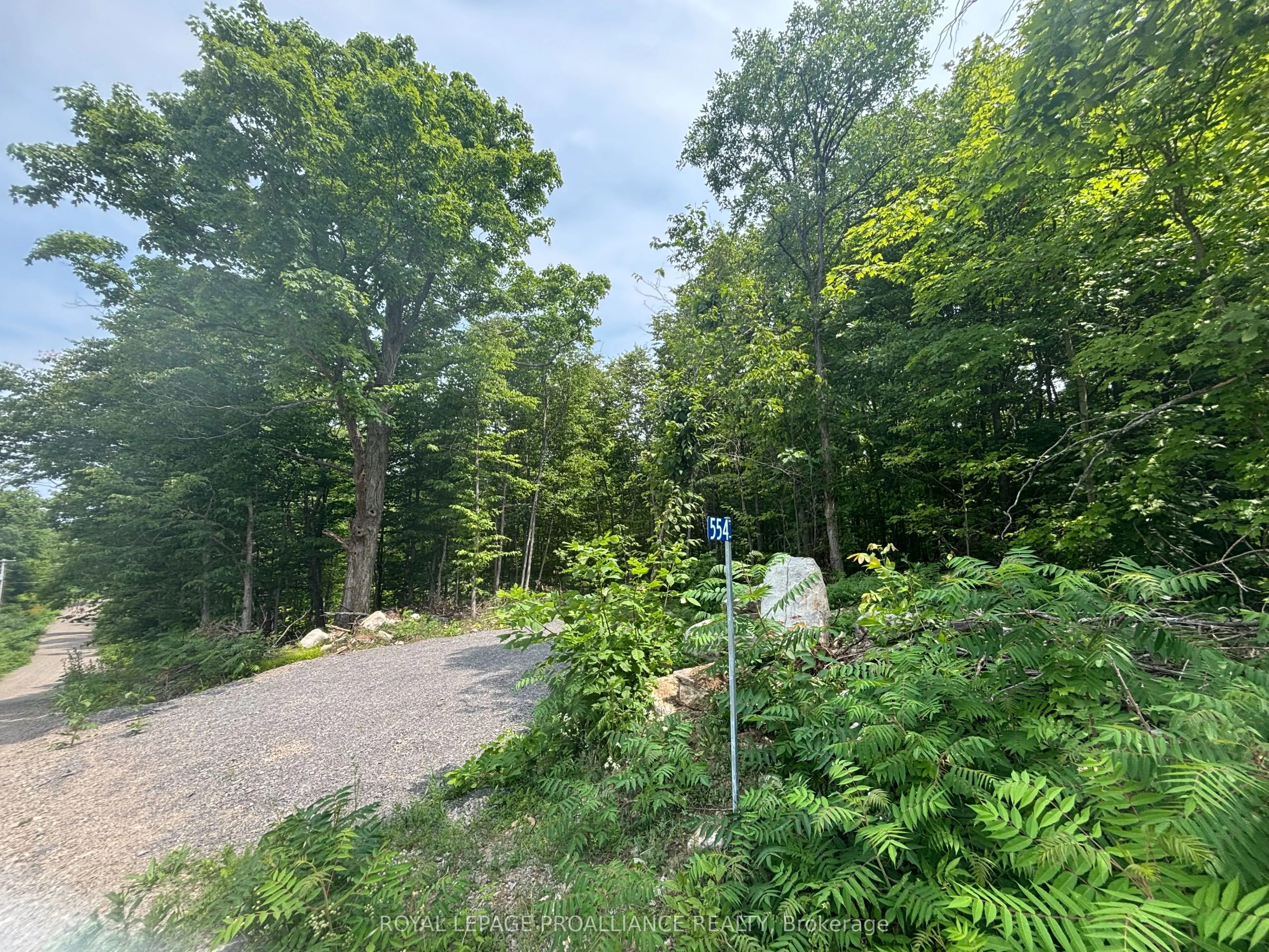 554 Pigden Road, #Severed B