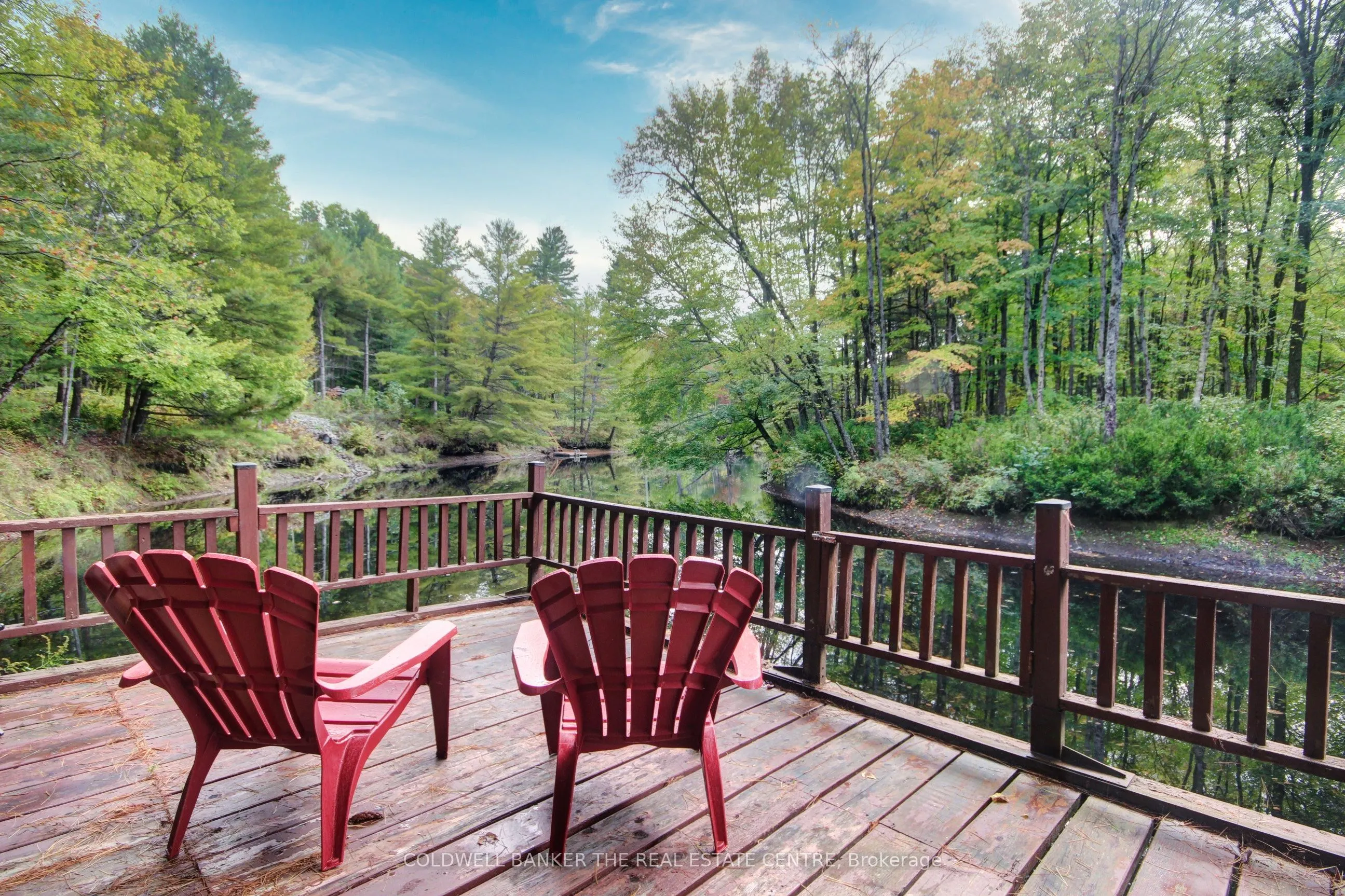 54 Black River Road