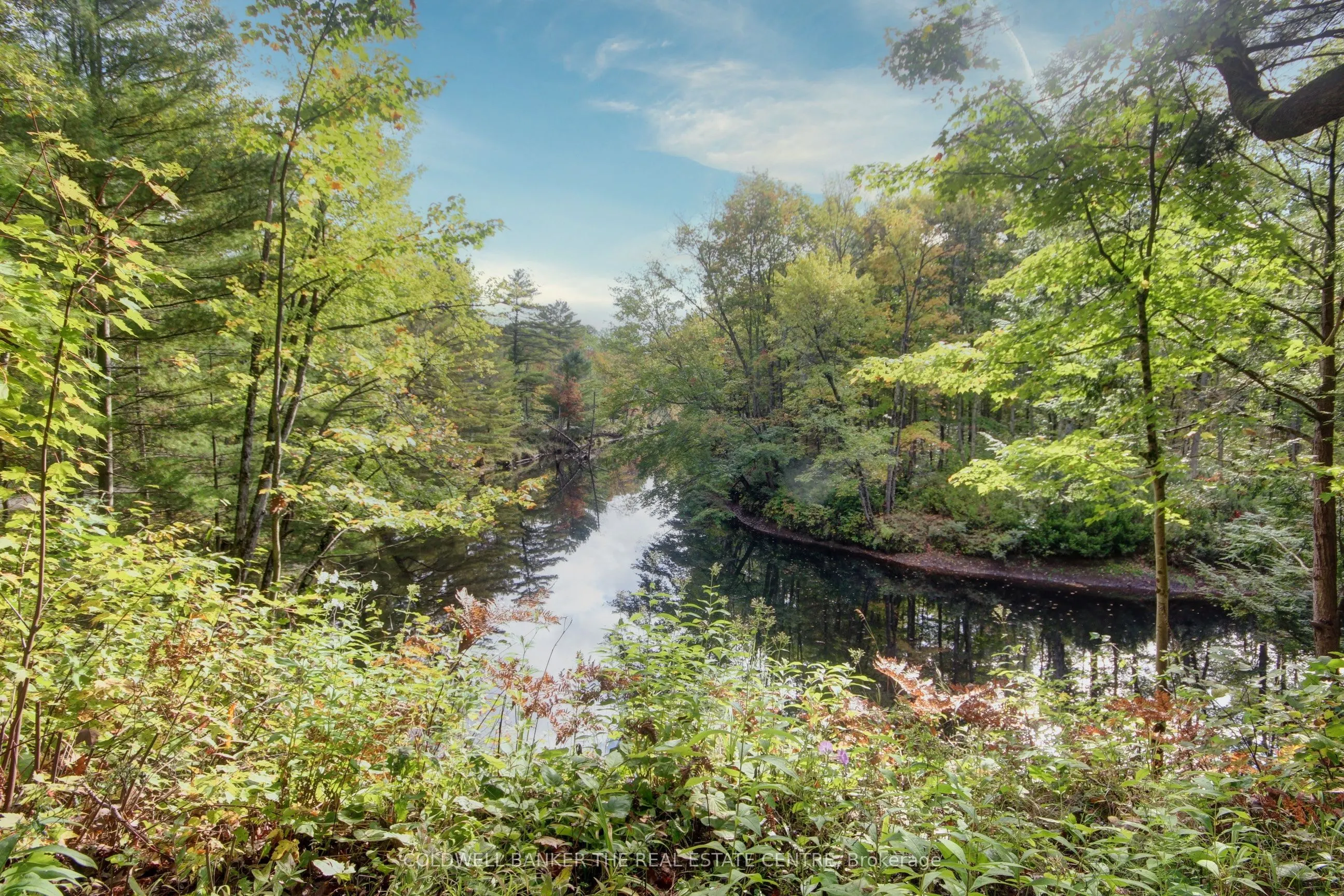54 Black River Road
