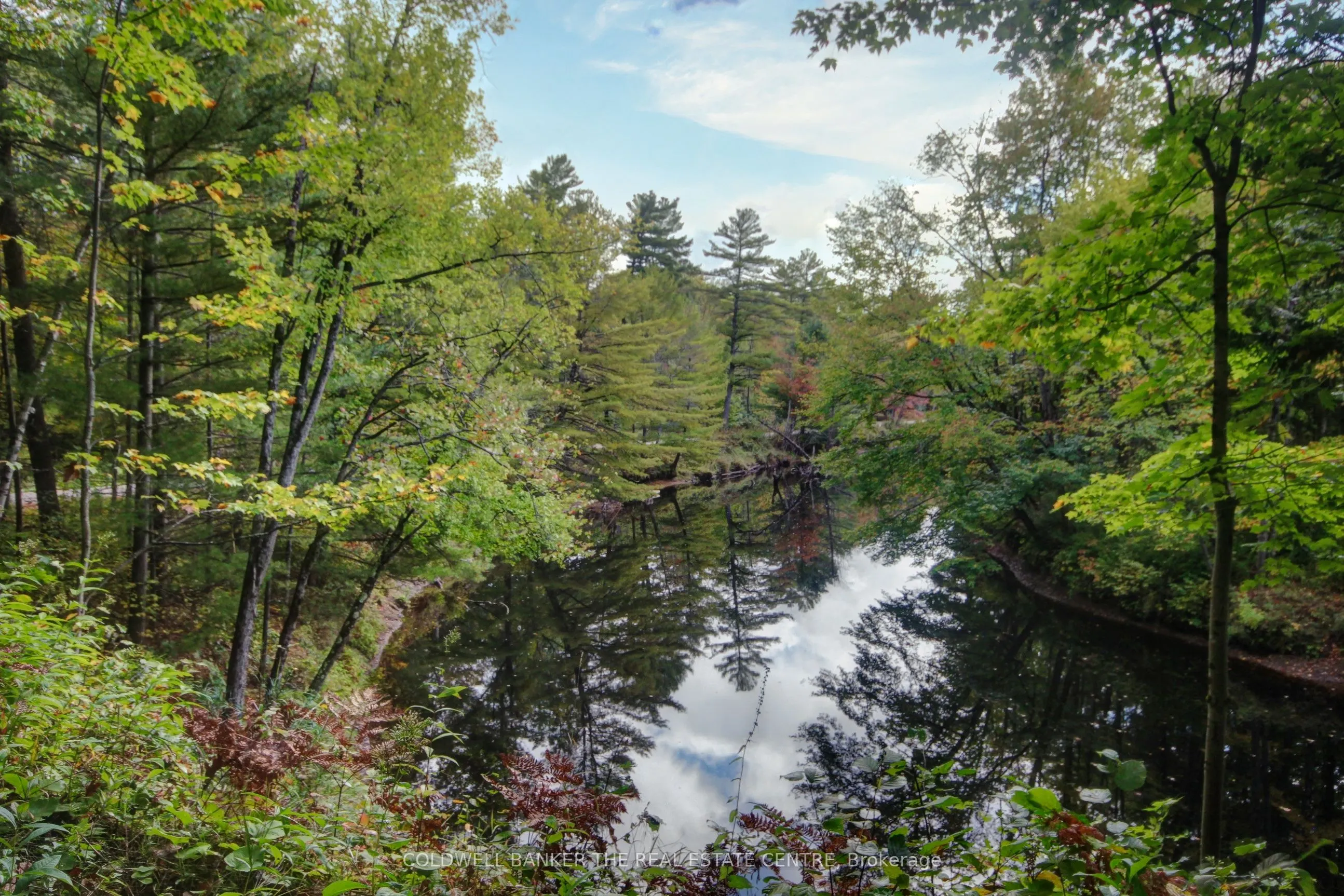 54 Black River Road