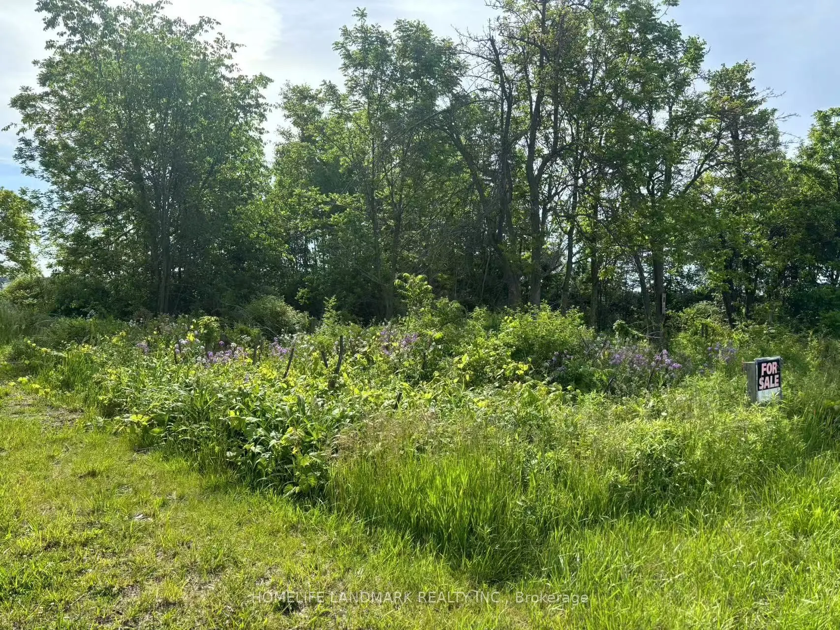 1146 Blueline Road