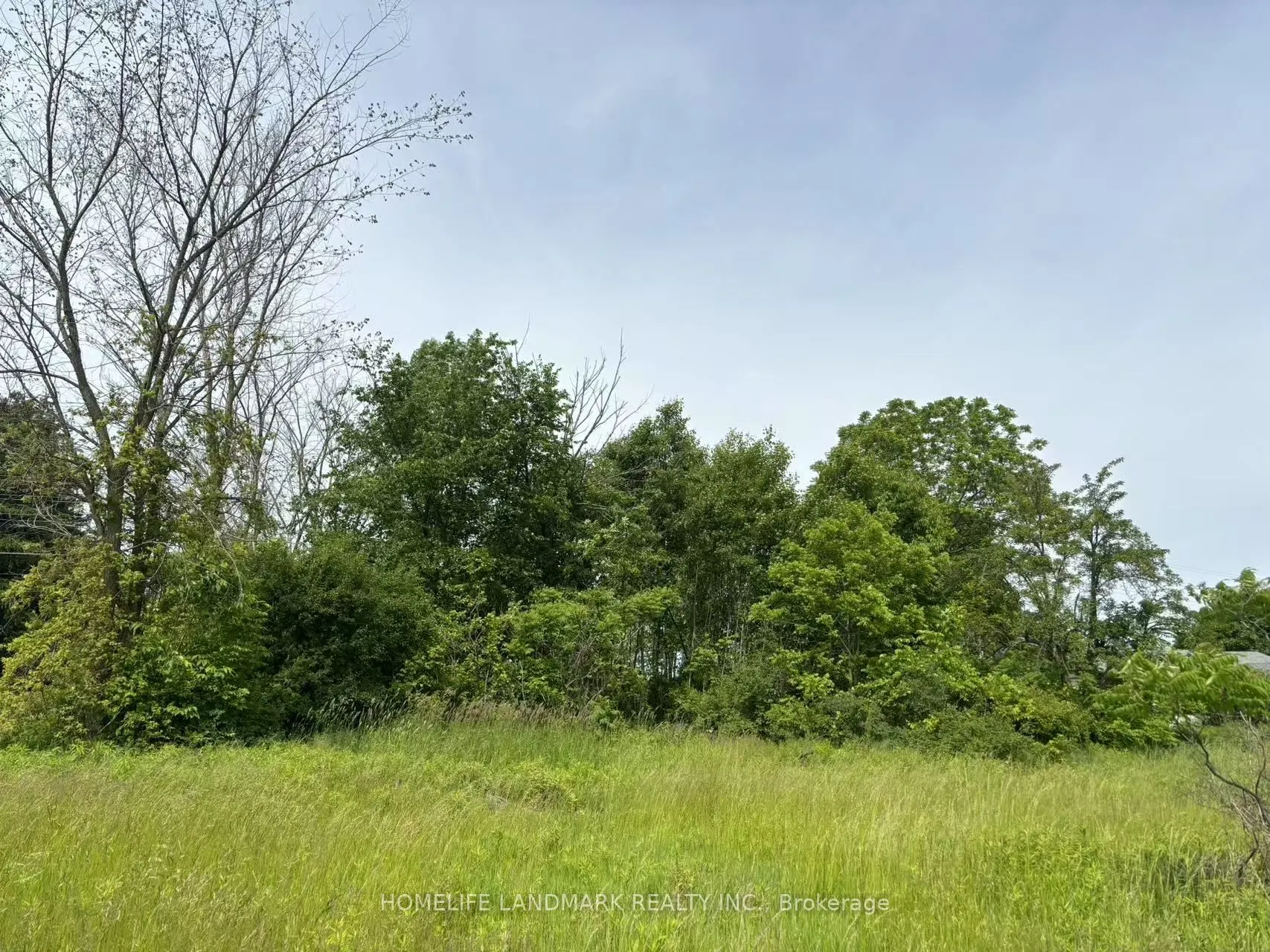 1146 Blueline Road