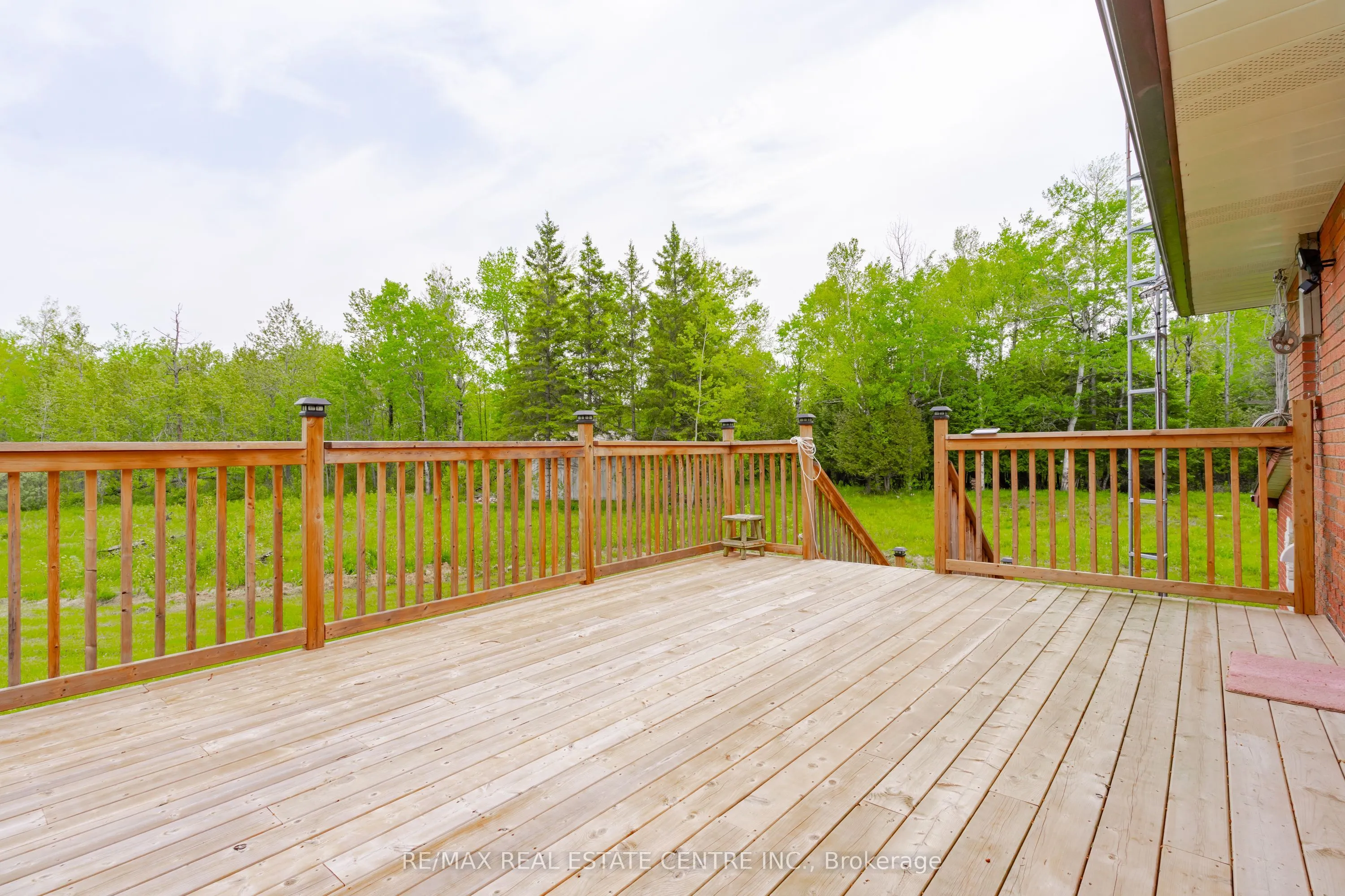 555257 Mono Amaranth Townline