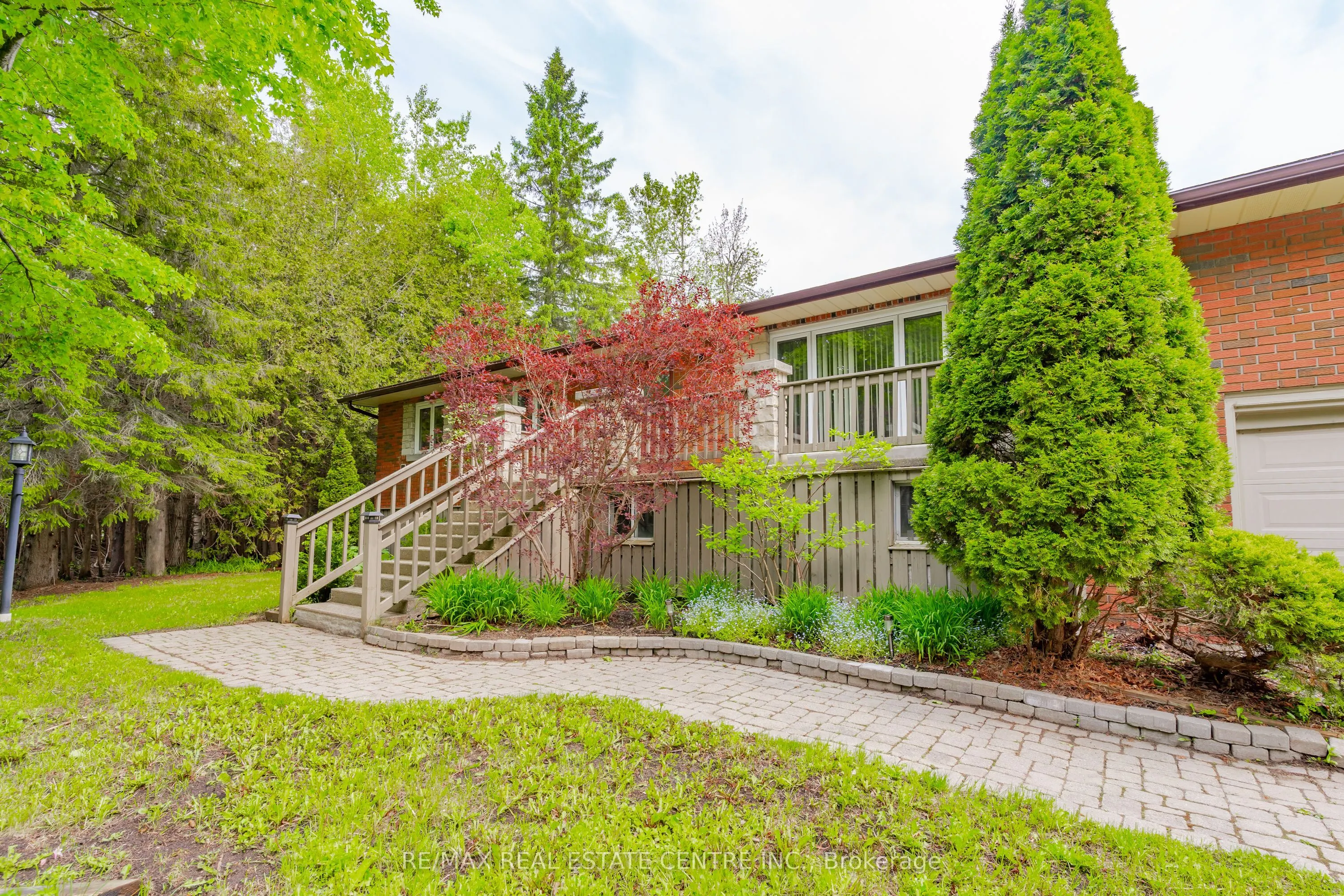 555257 Mono Amaranth Townline