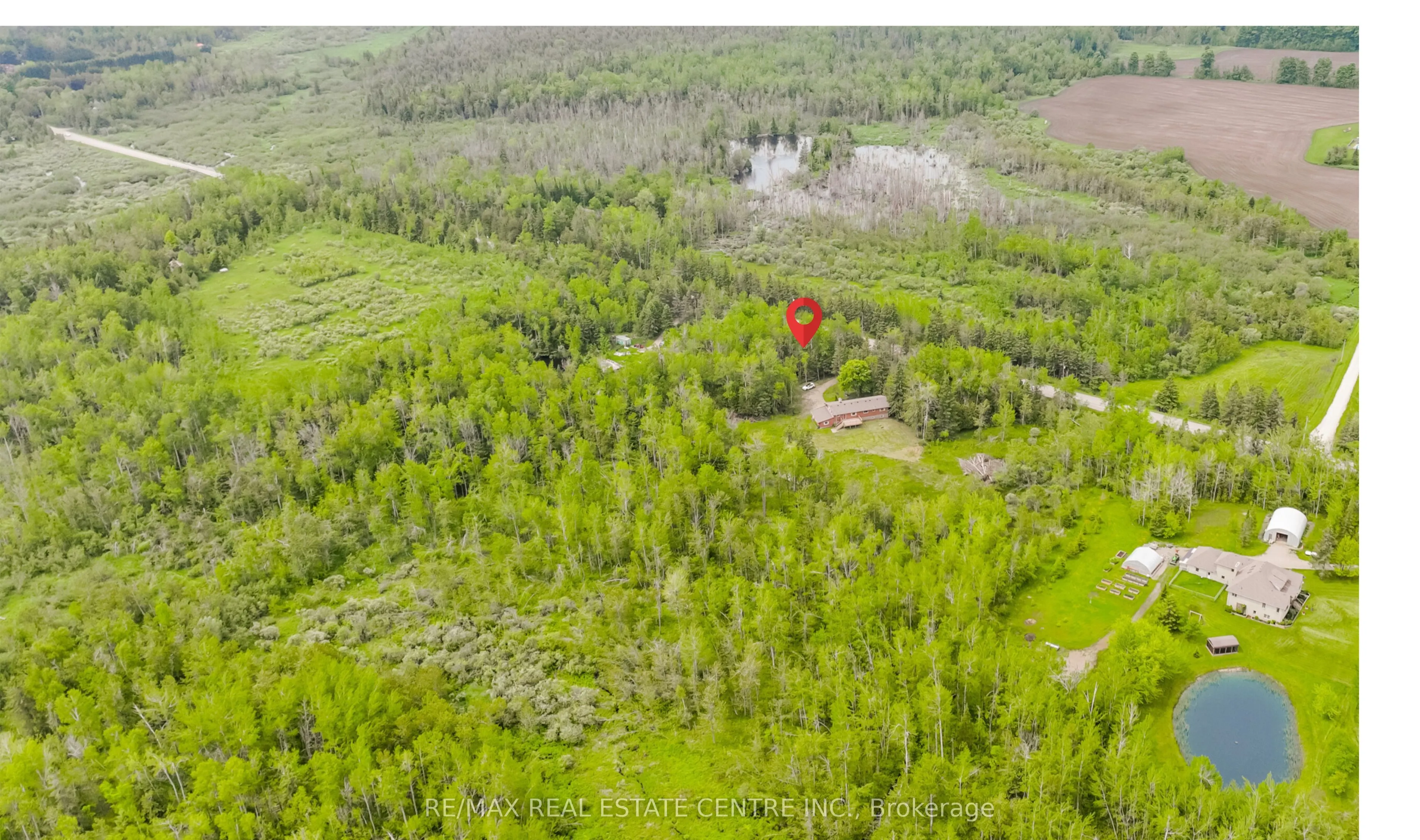 555257 Mono Amaranth Townline