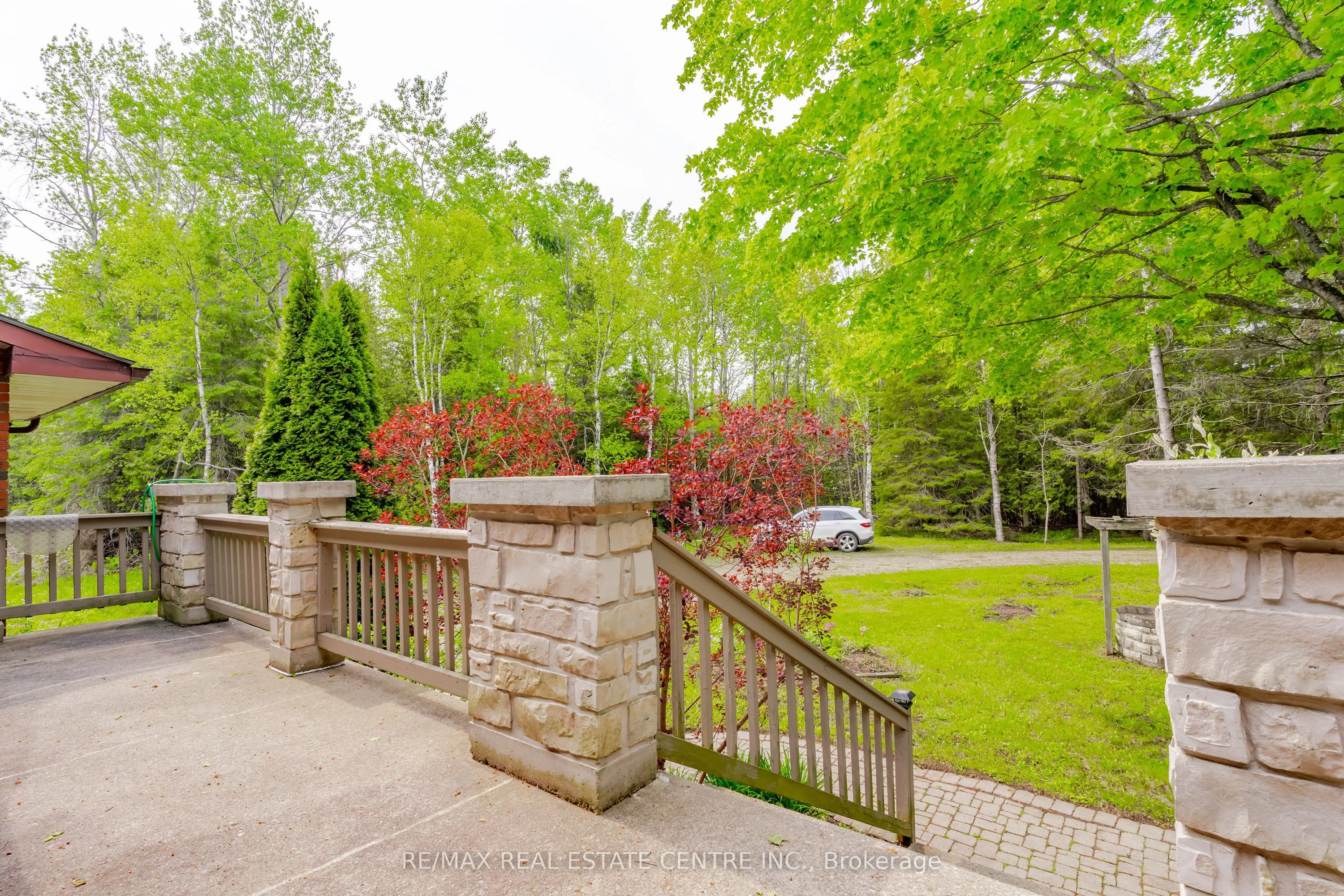 555257 Mono Amaranth Townline
