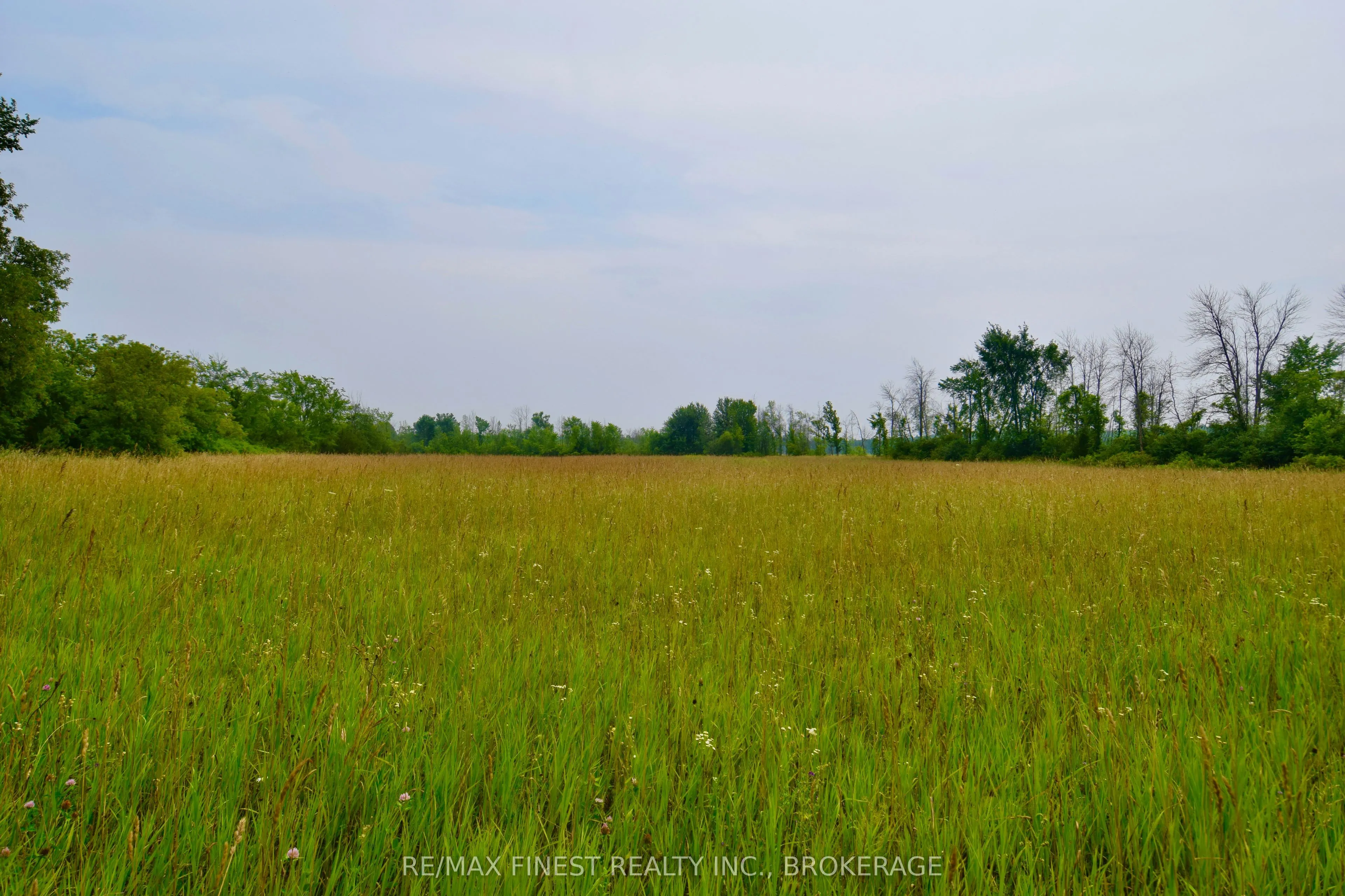 ~1654 Bethel Road