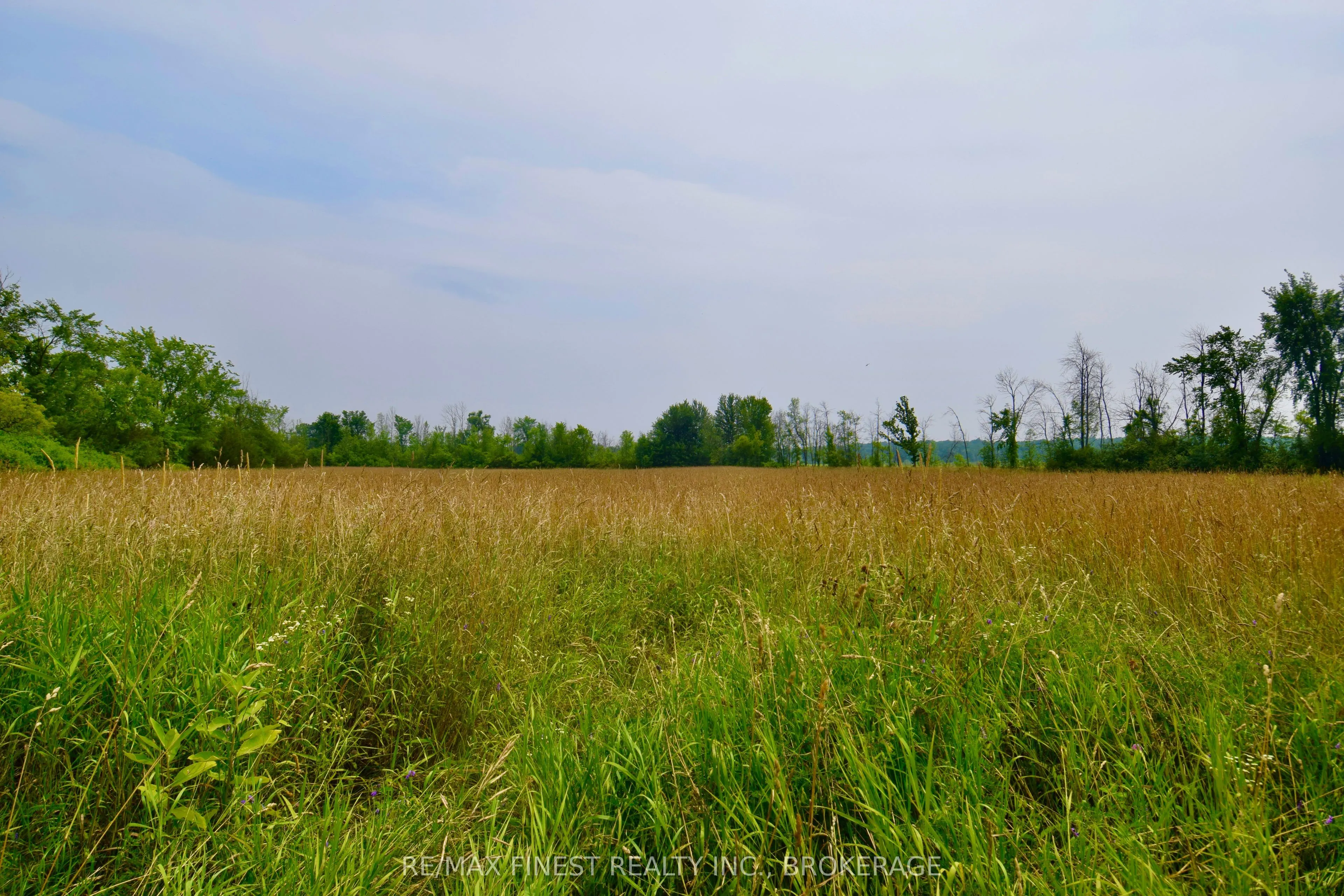 ~1654 Bethel Road
