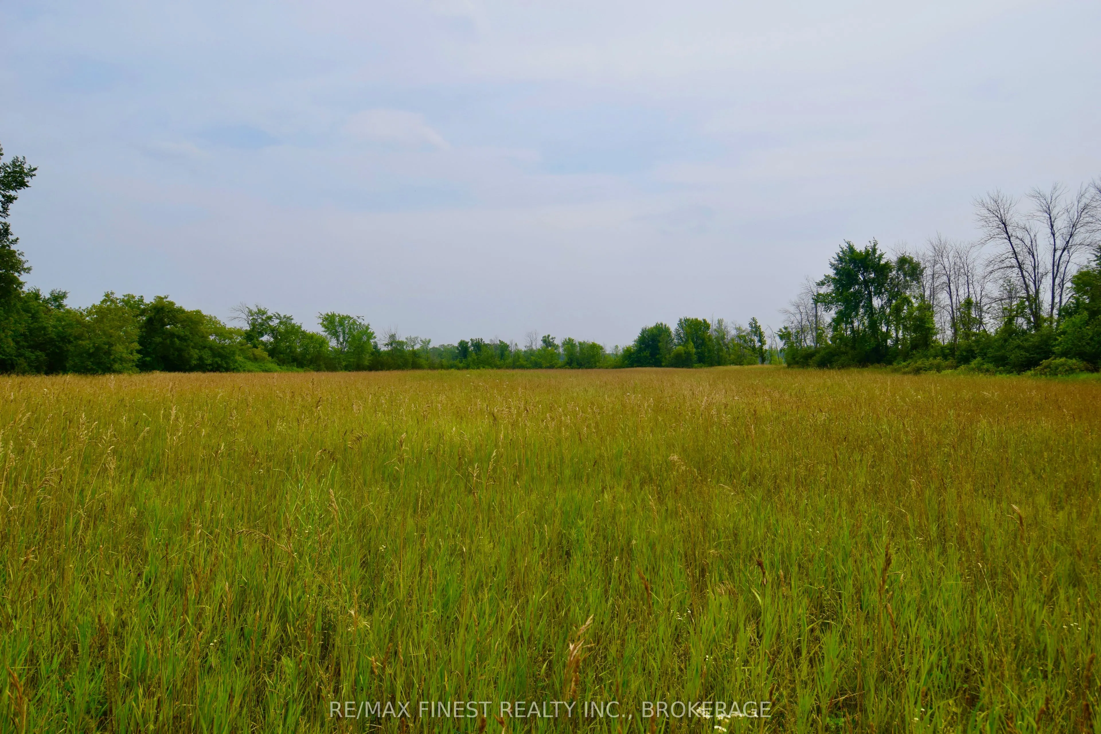 ~1654 Bethel Road