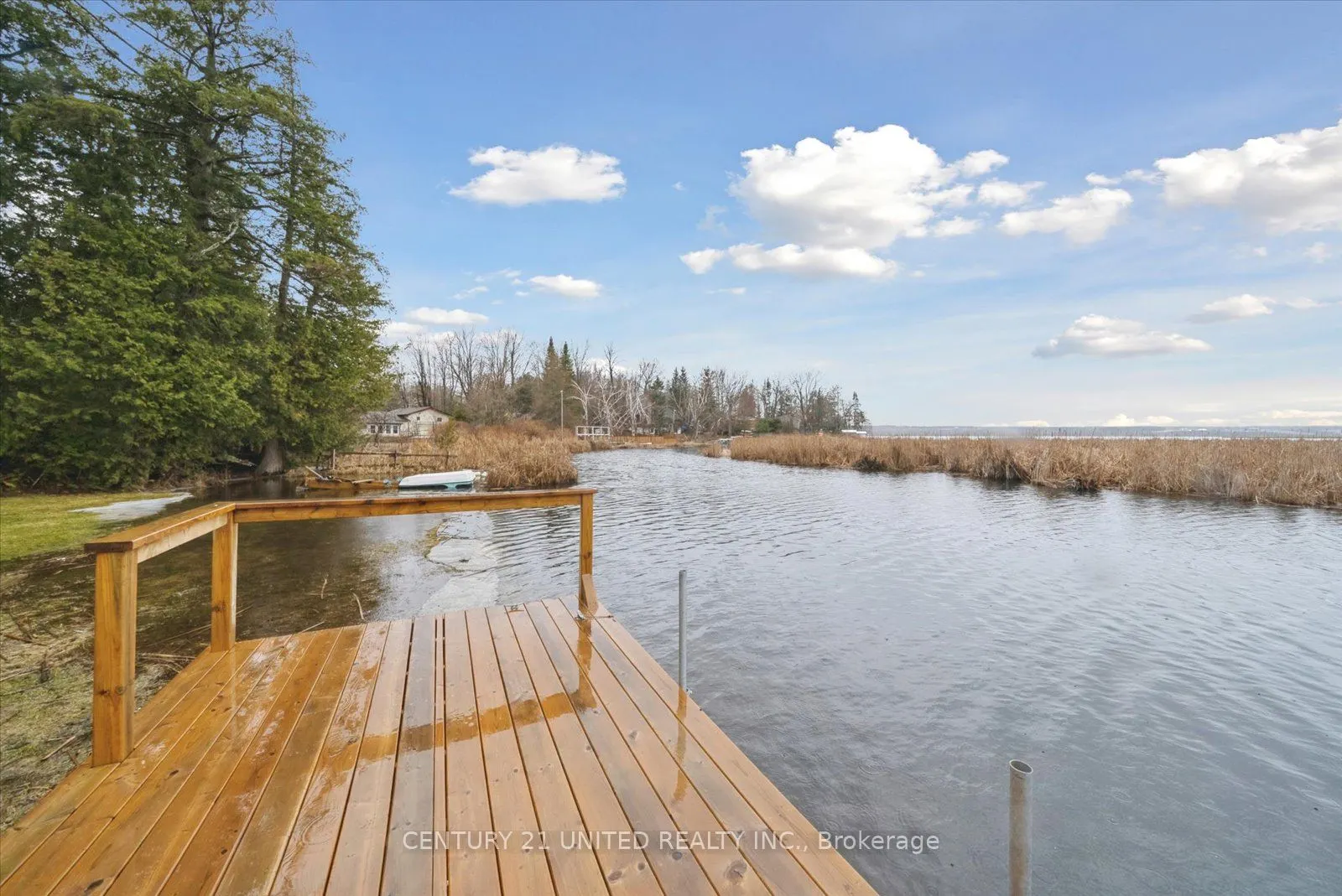 52 Birch Point Drive