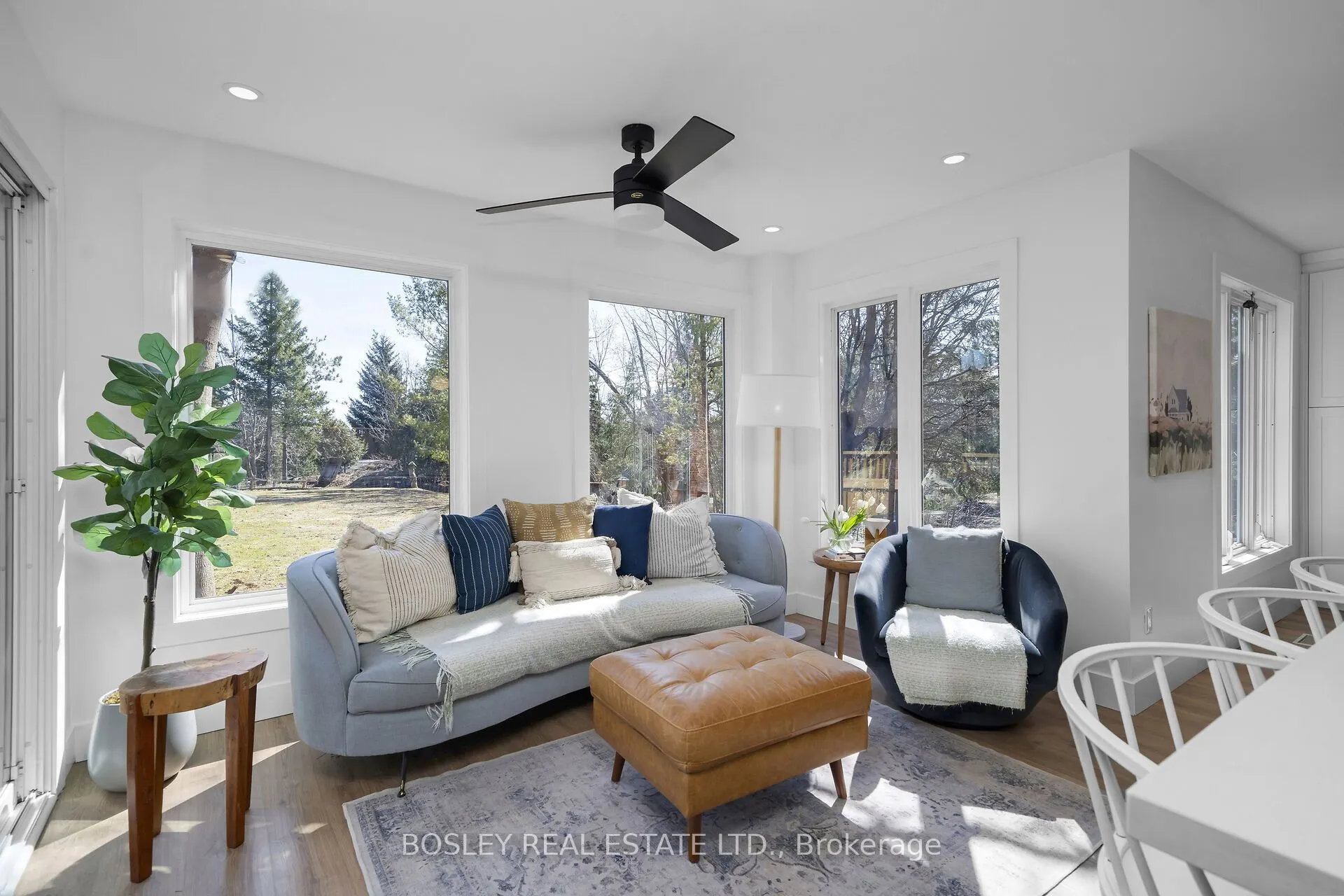 16 Bayberry Road