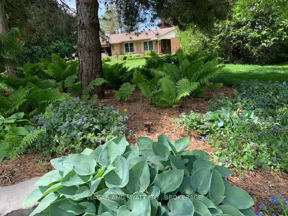 99 River Road