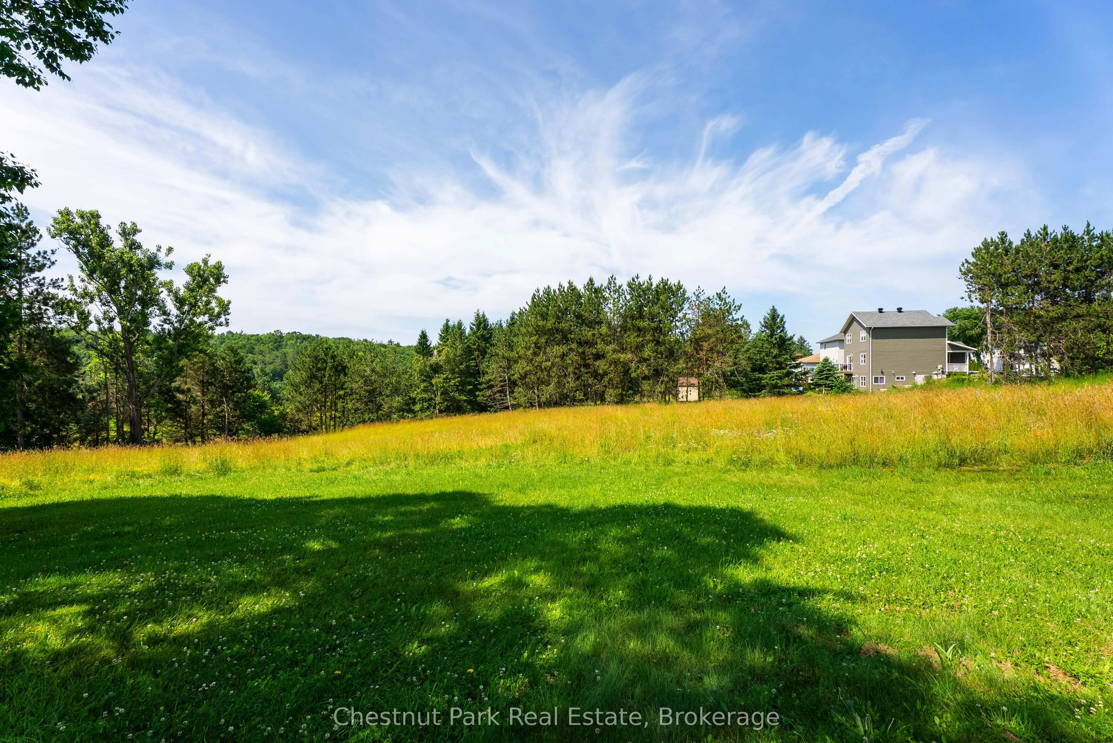 8 Dandelion Lane