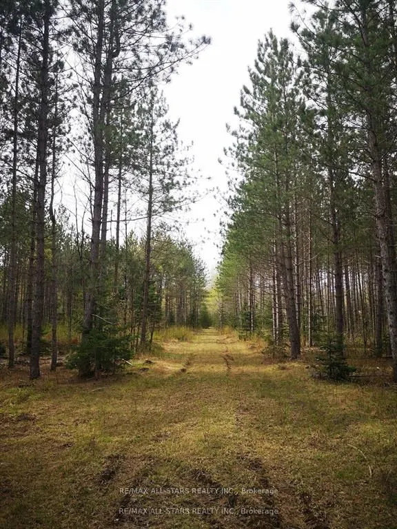0 Penzance Trail