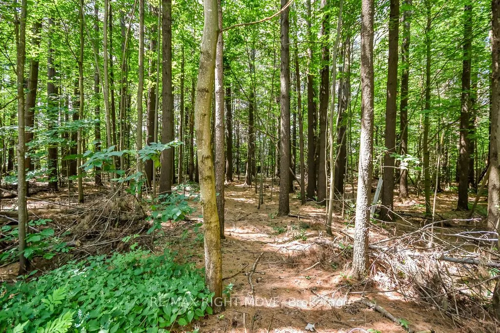 1011 Talbot Trail