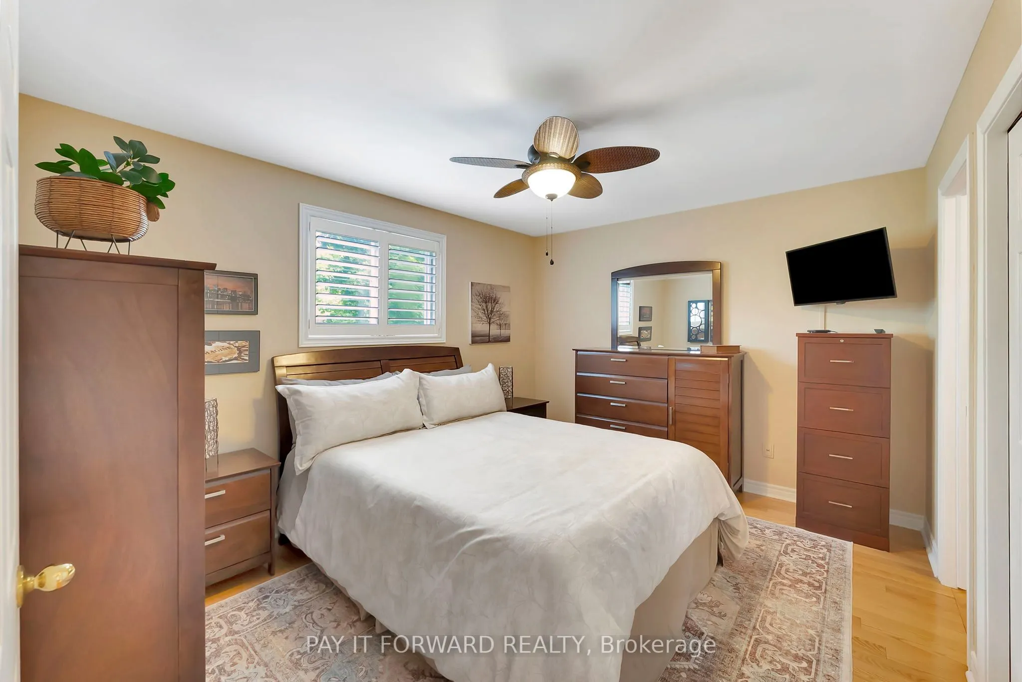 19 Olivetree Road