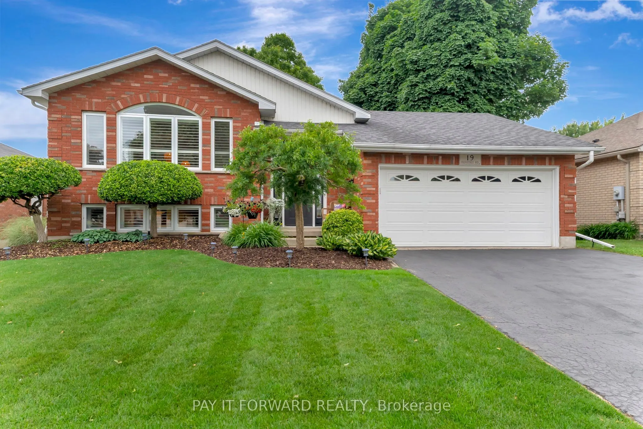 19 Olivetree Road
