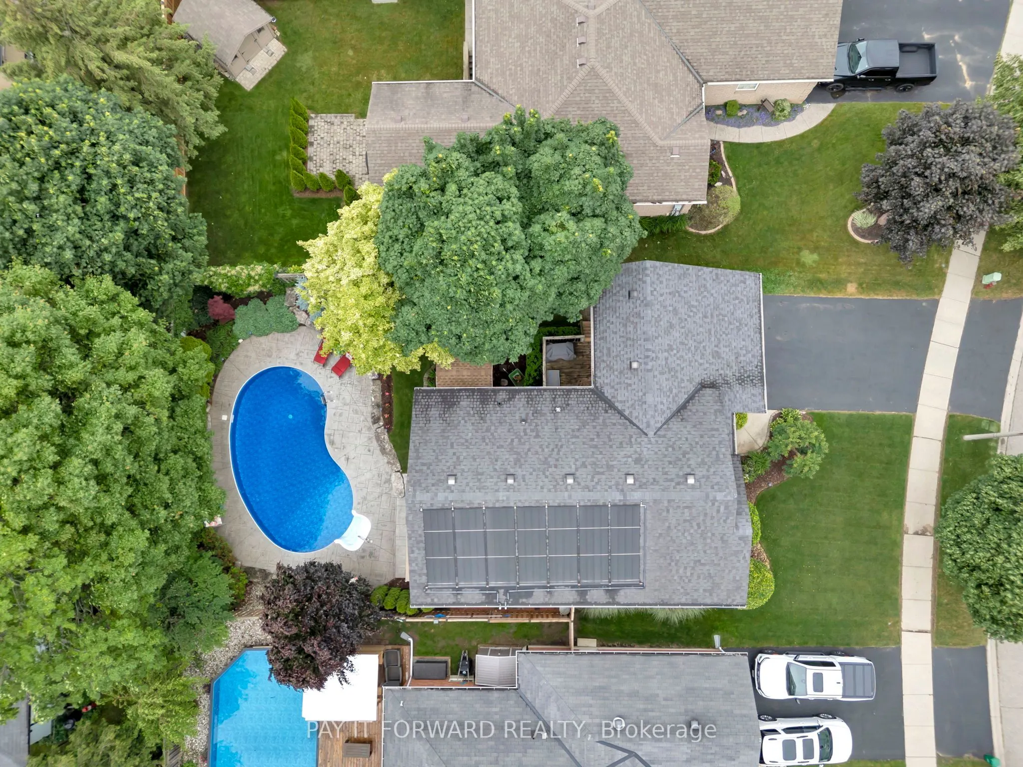 19 Olivetree Road