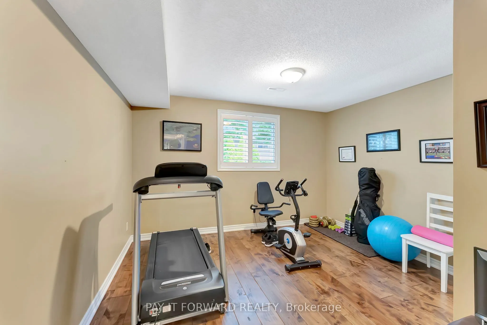 19 Olivetree Road