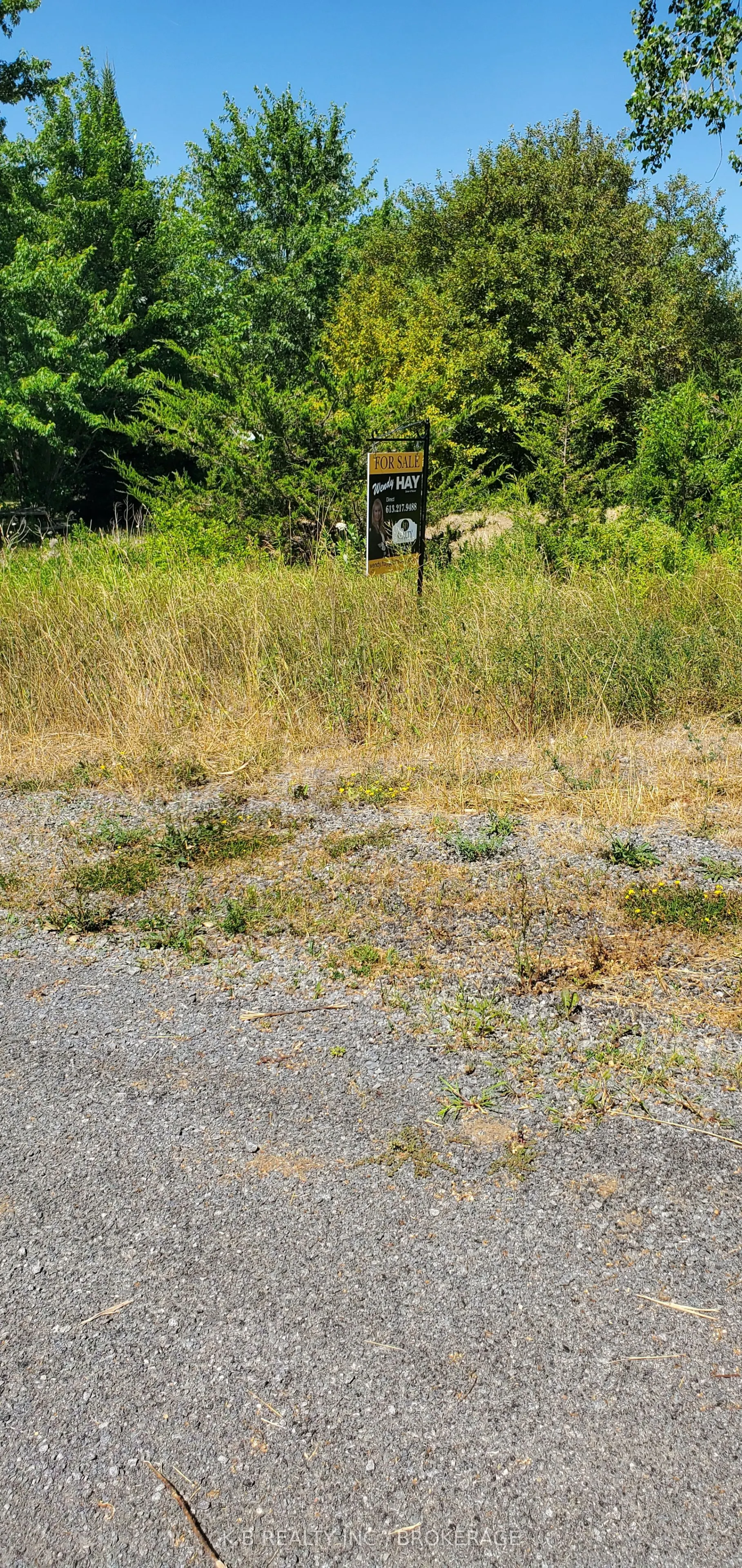 66 Dorland Drive