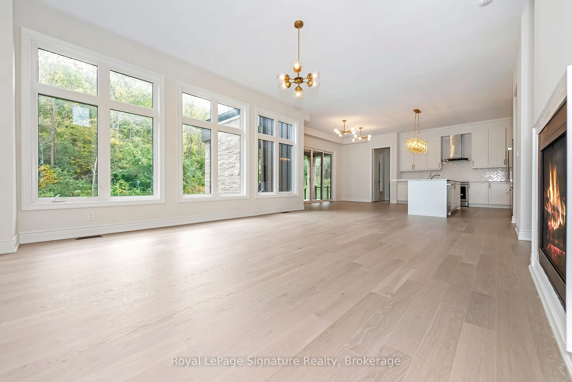 116 Dorothy Drive