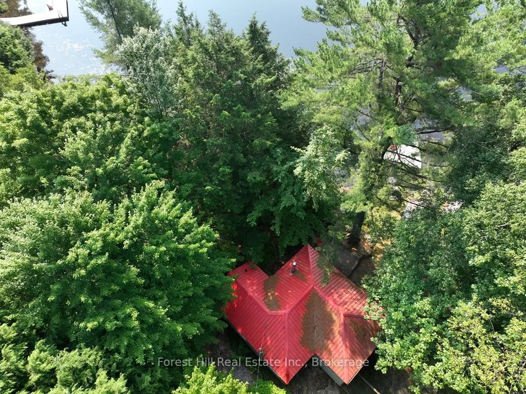 1010 NEST Lane