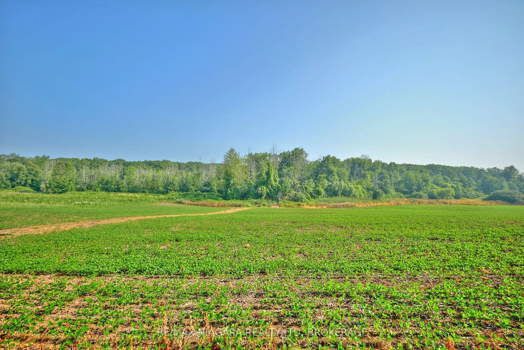 298 RIDGE Road W