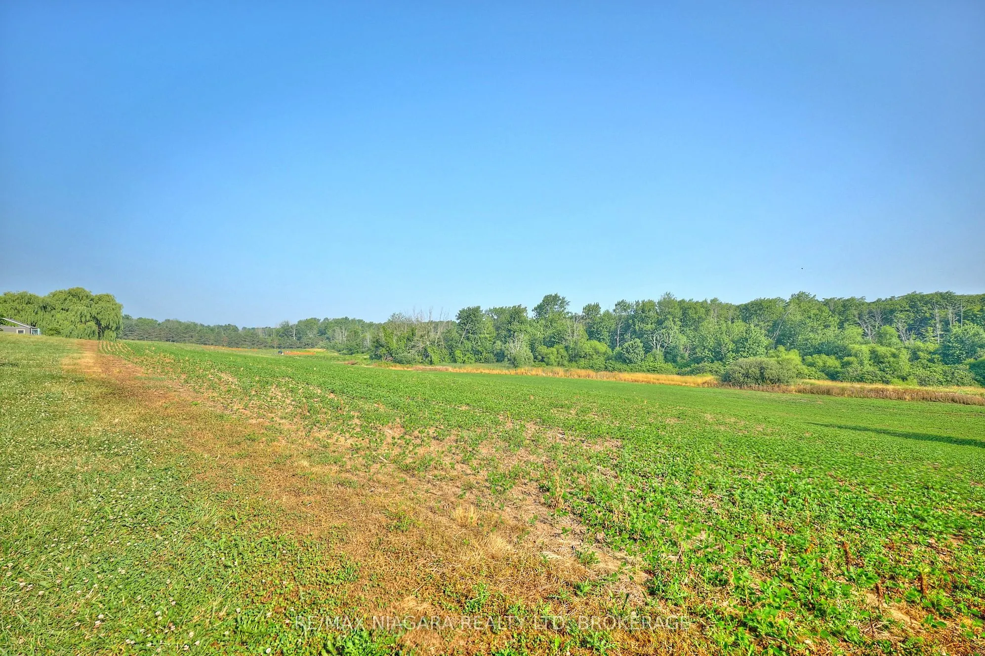 298 RIDGE Road W