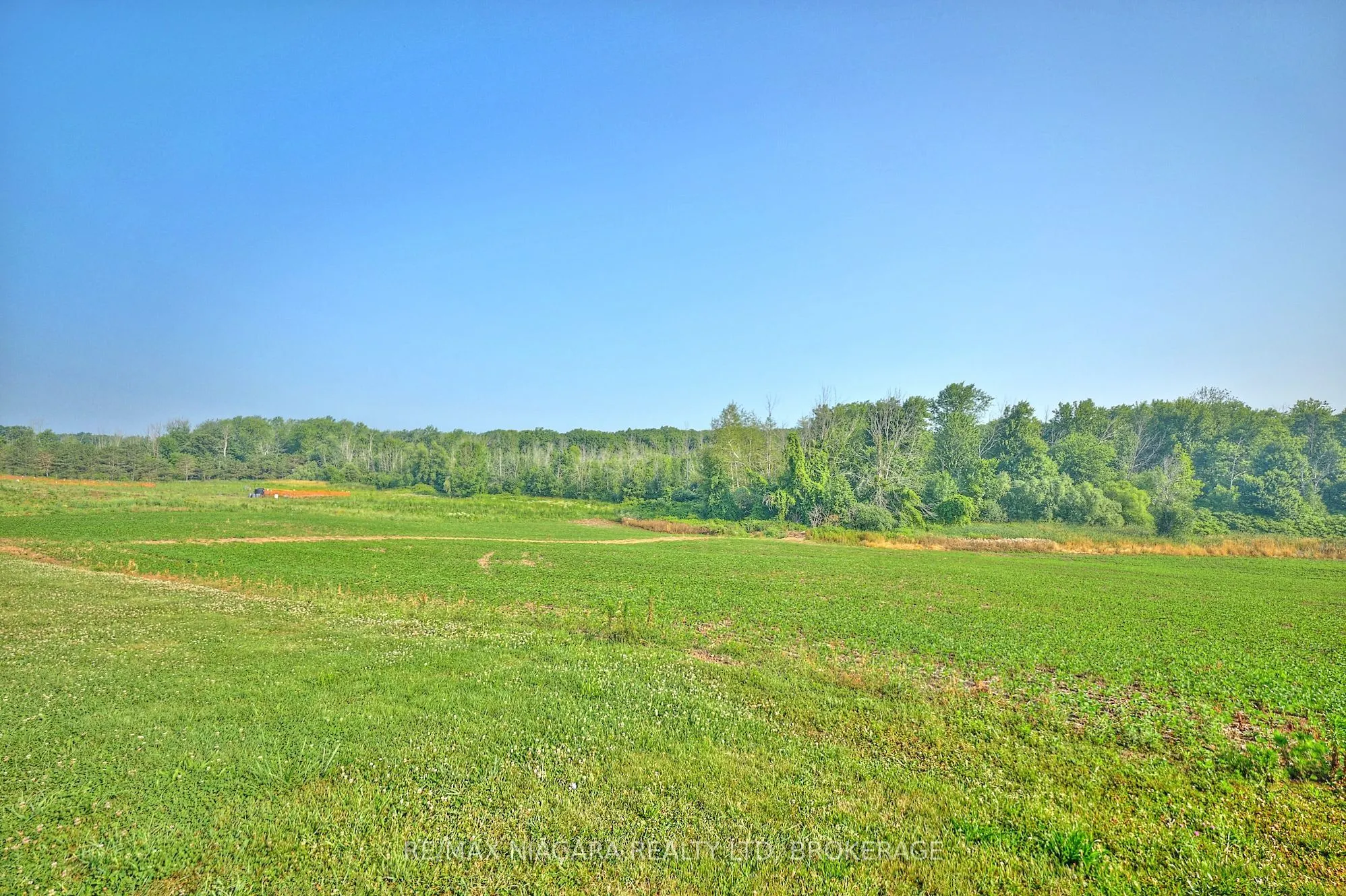 298 RIDGE Road W