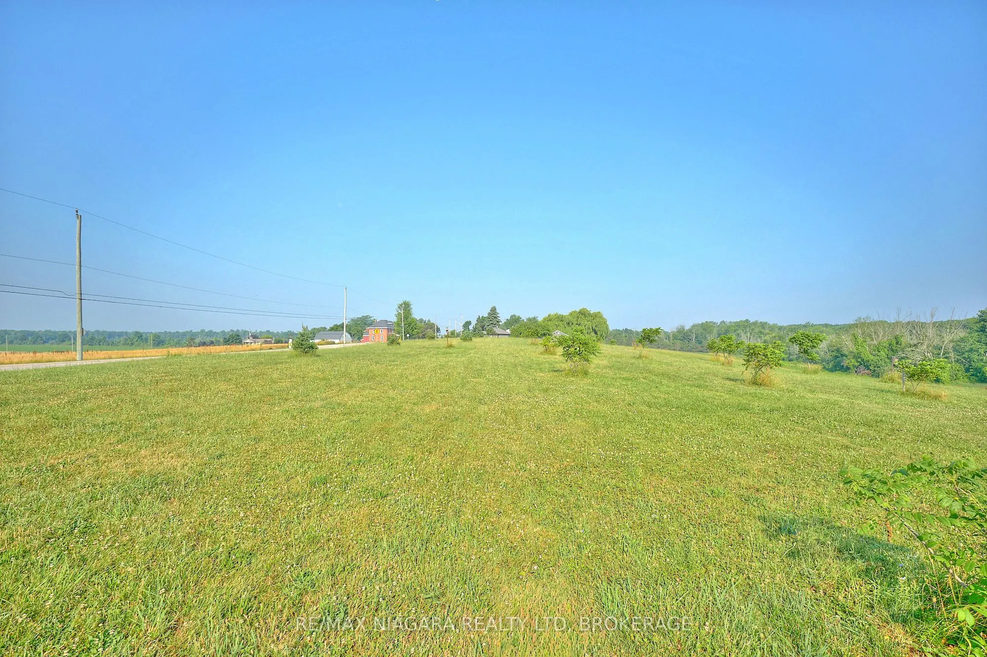 298 RIDGE Road W