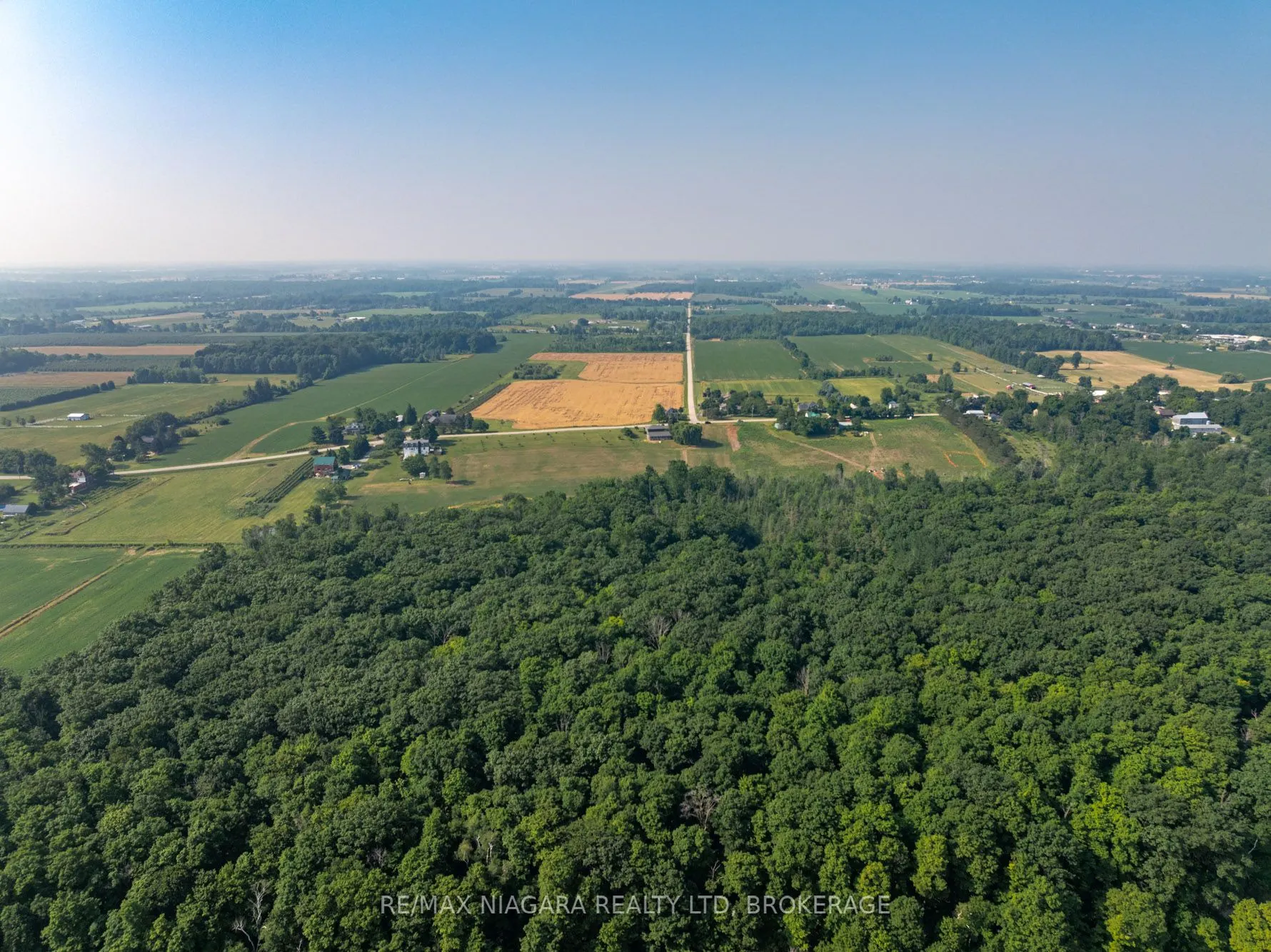 298 RIDGE Road W