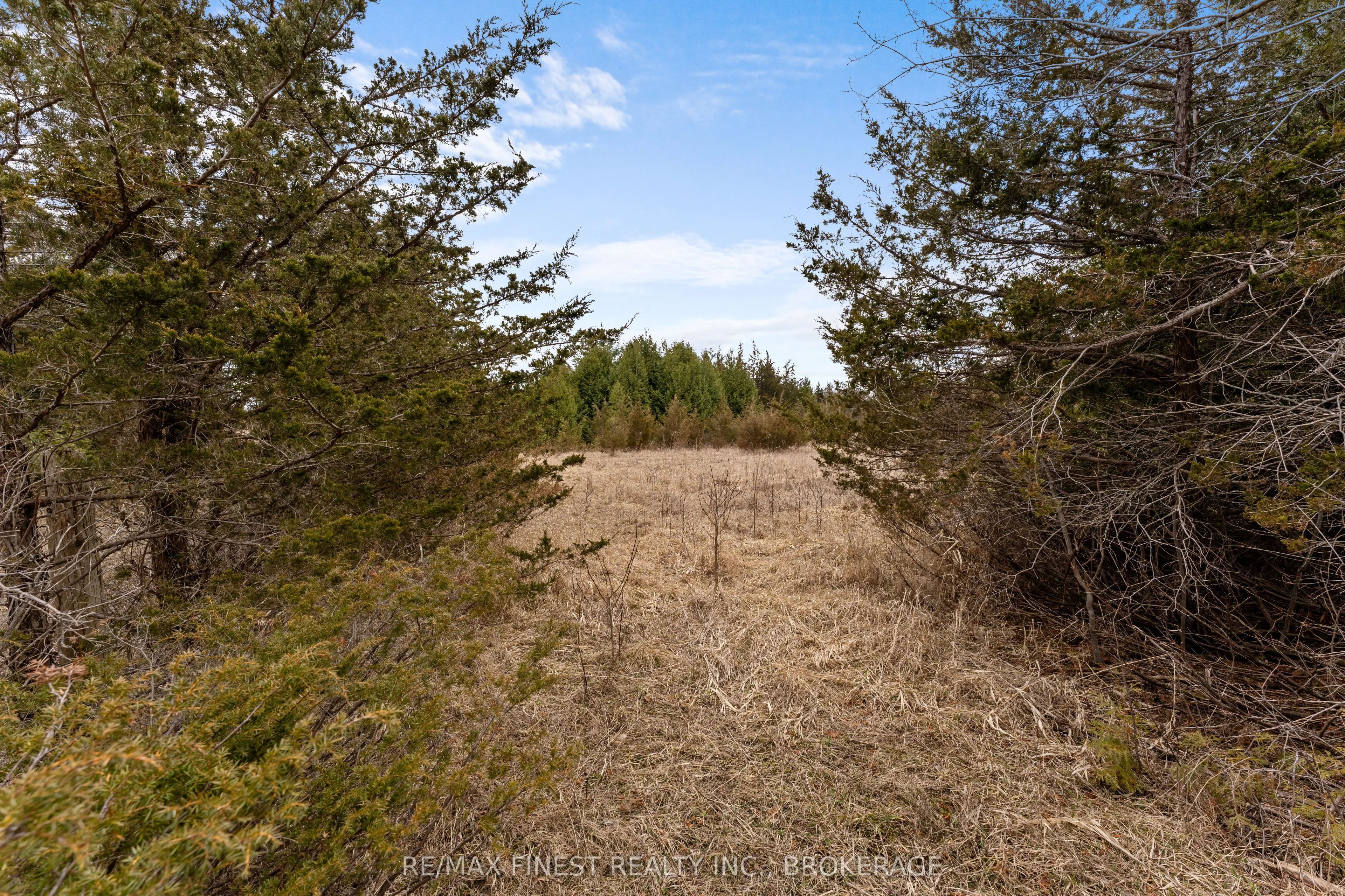 210 Beechwood Road