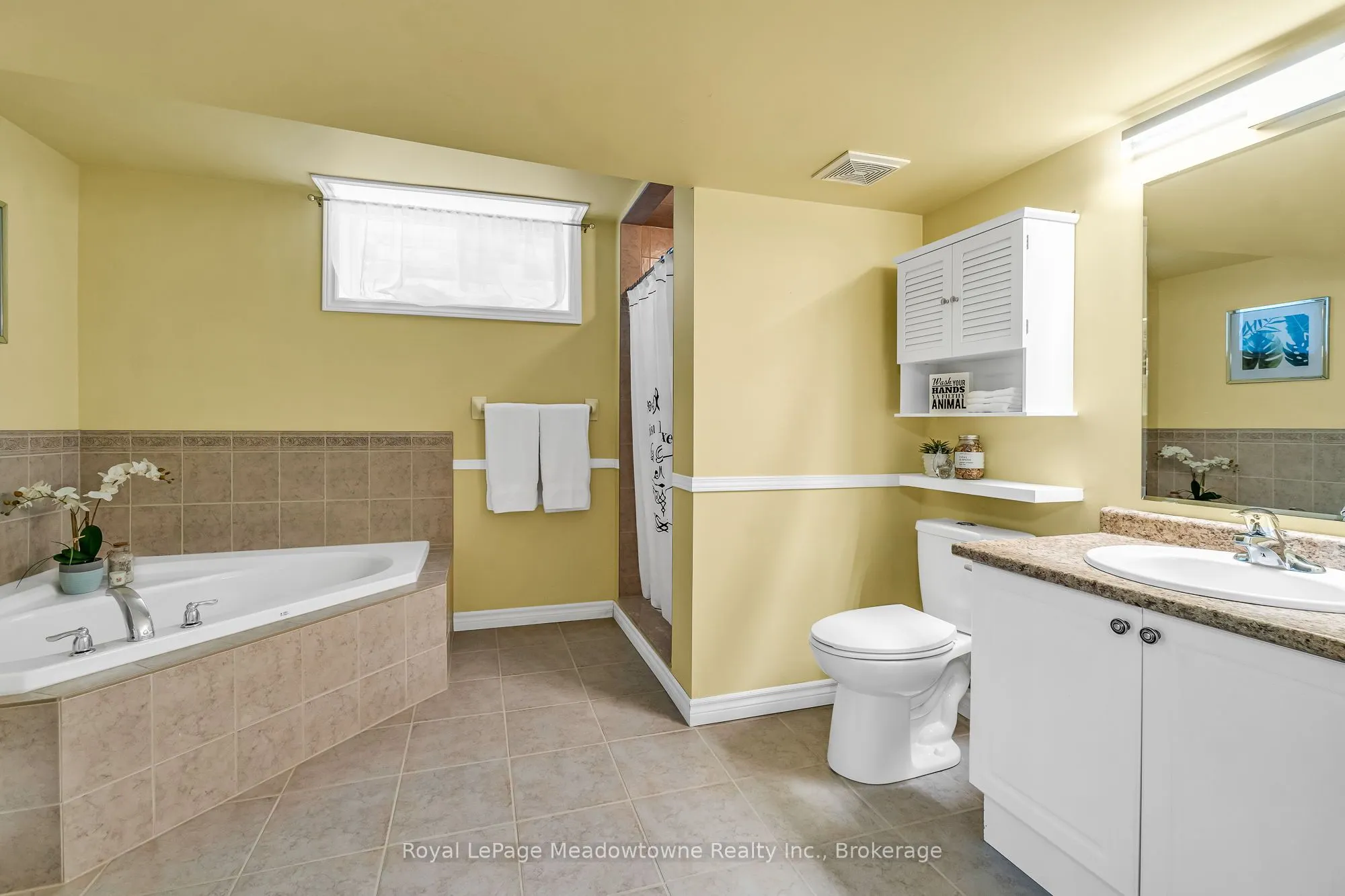14 Atto Drive