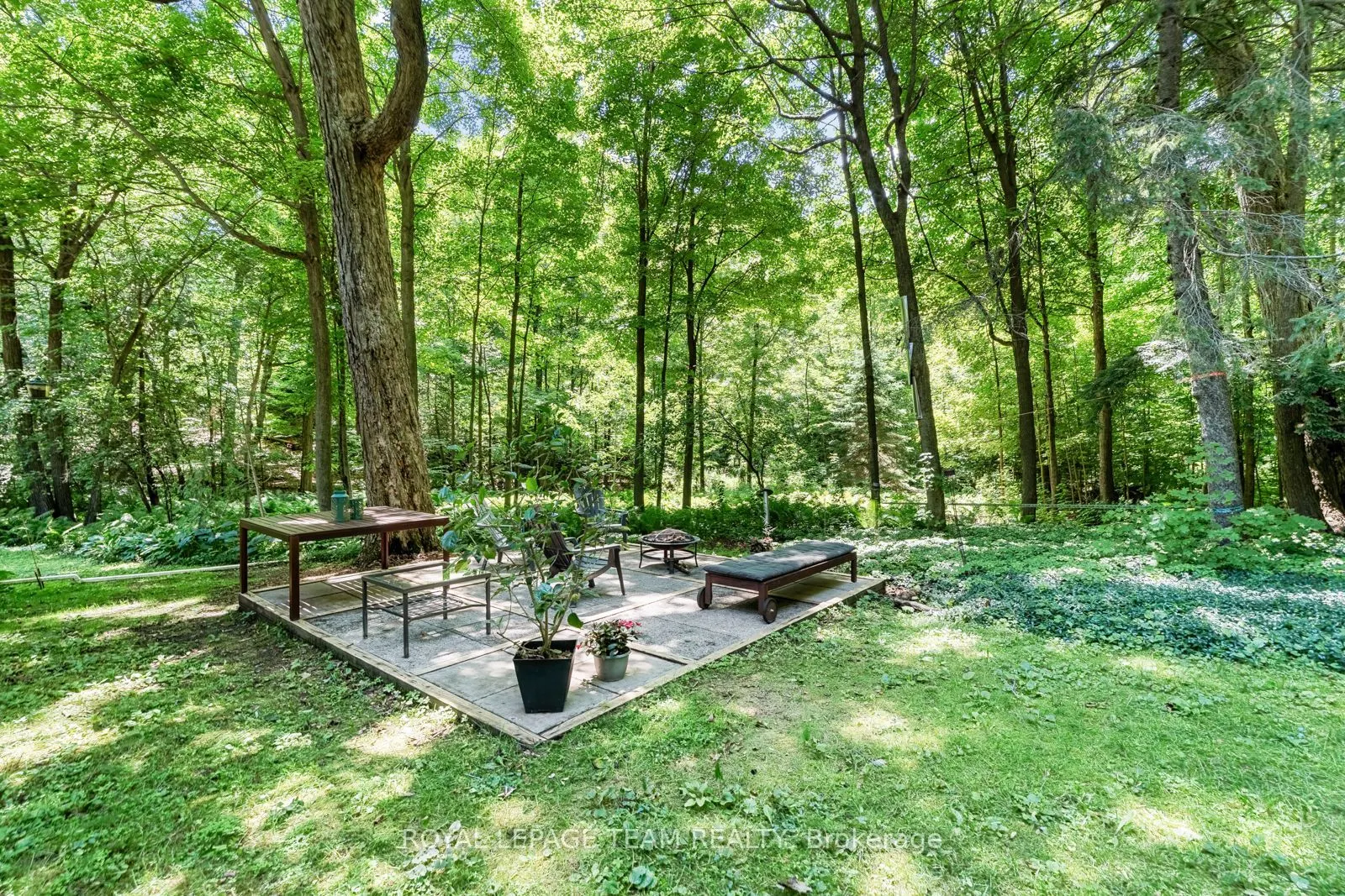 53 Oriole Drive
