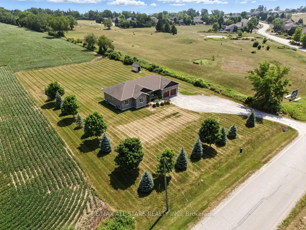 41 Stub Road