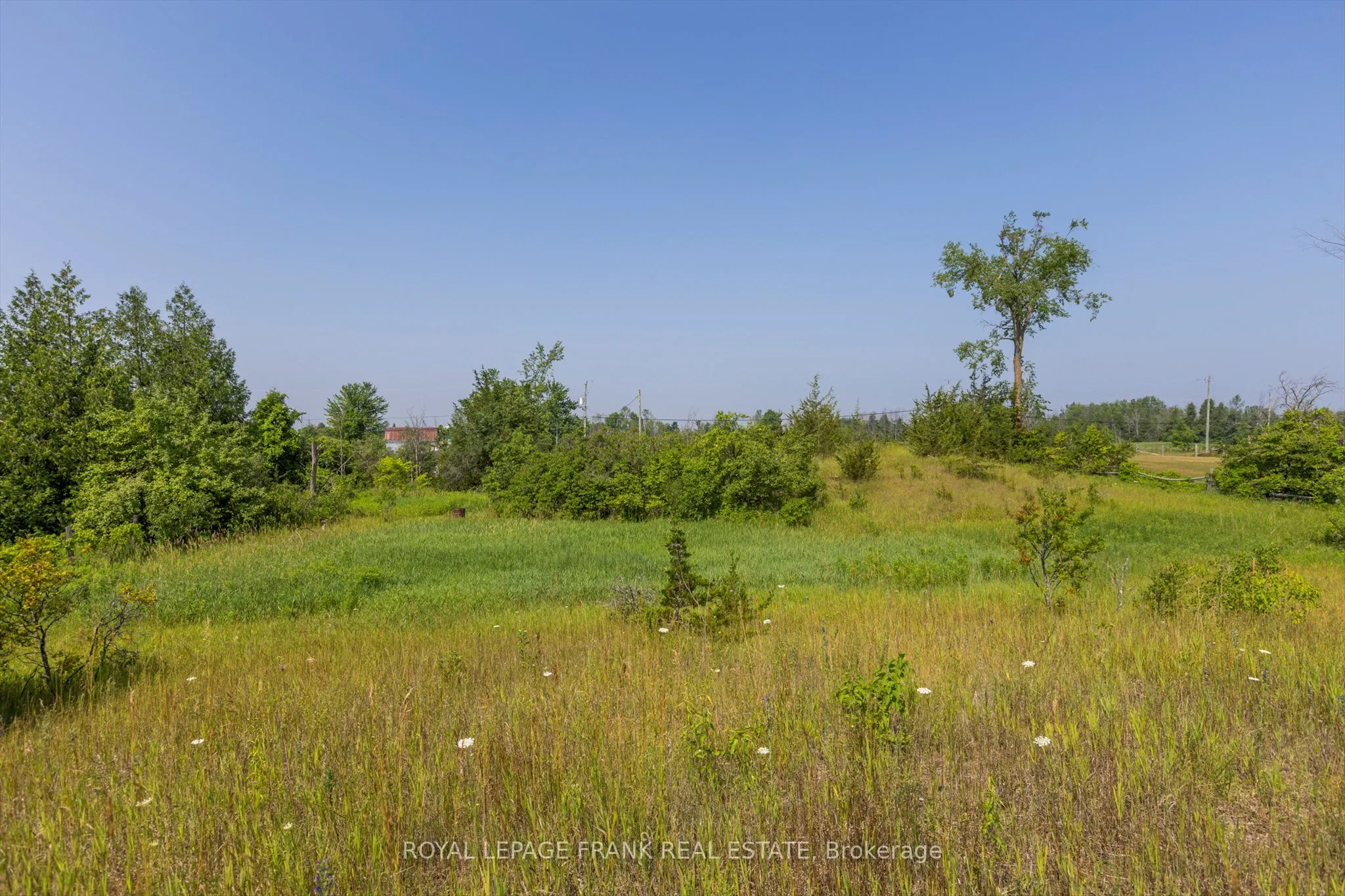 2971 County Rd 38