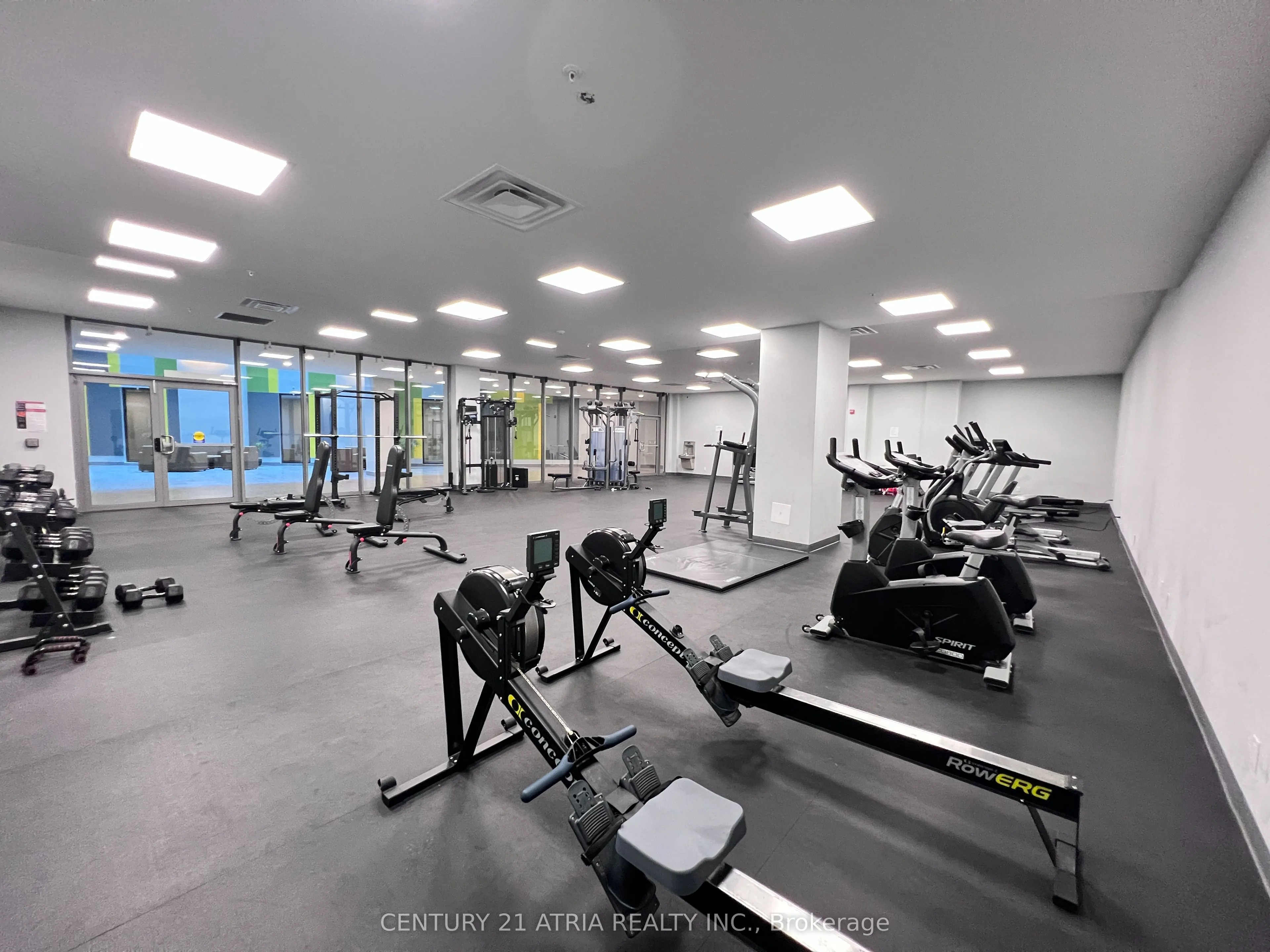 652 Princess Street, #411