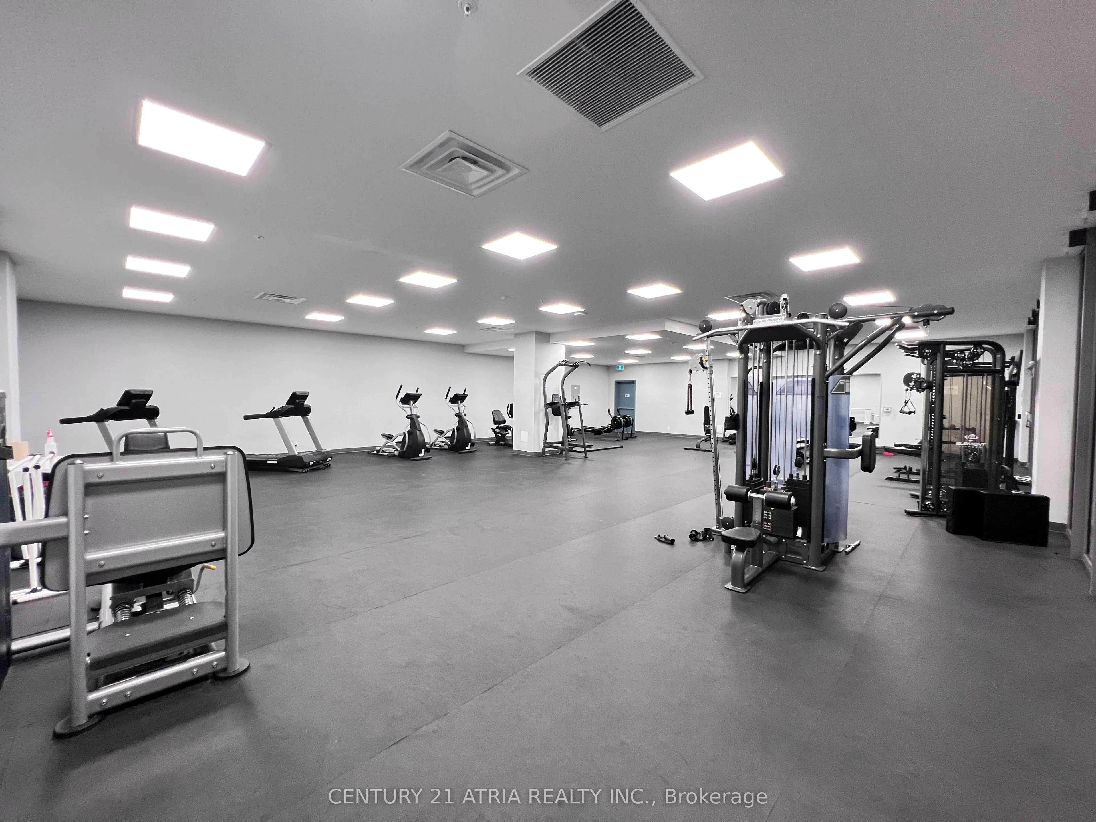 652 Princess Street, #411