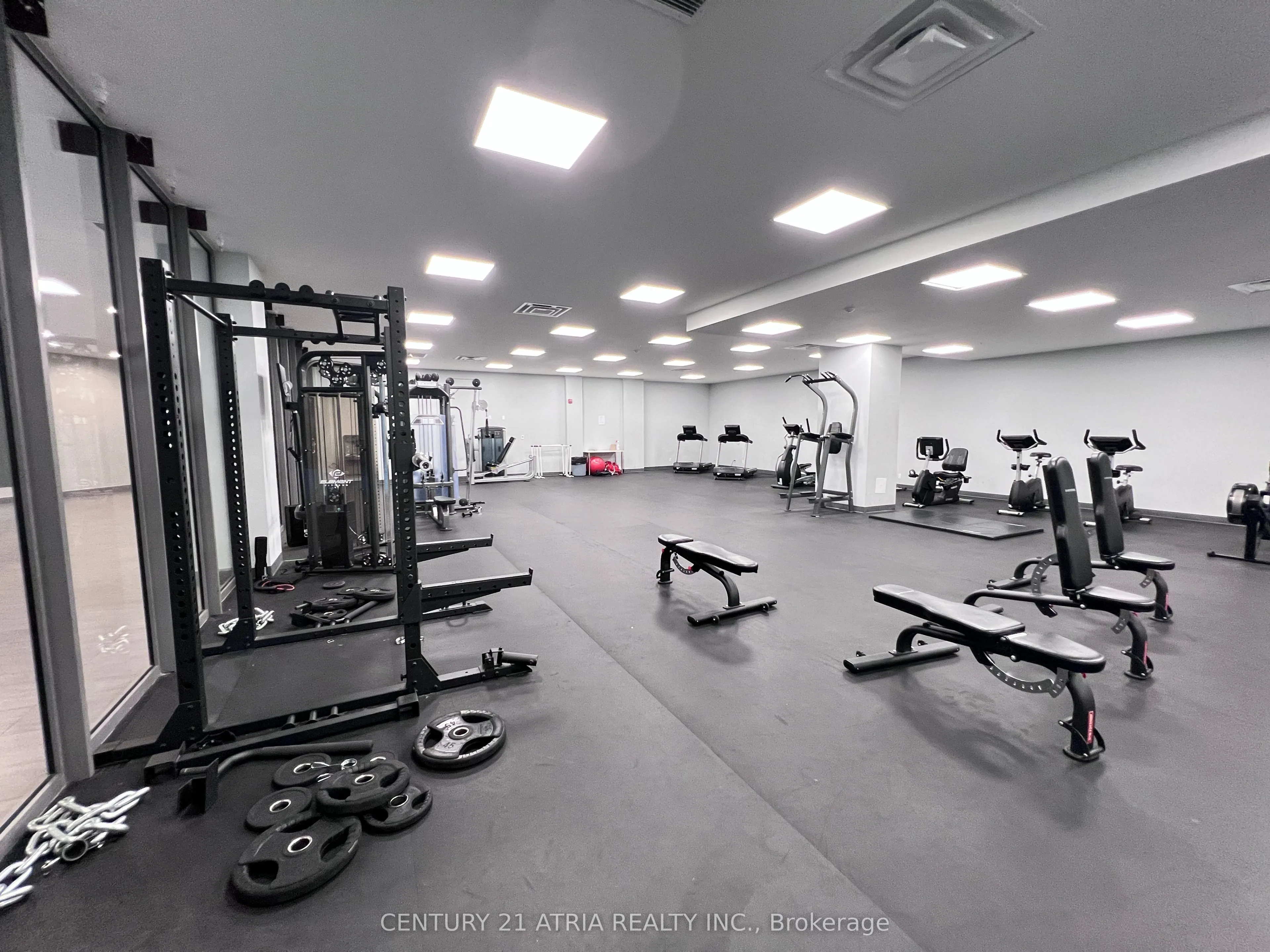 652 Princess Street, #411
