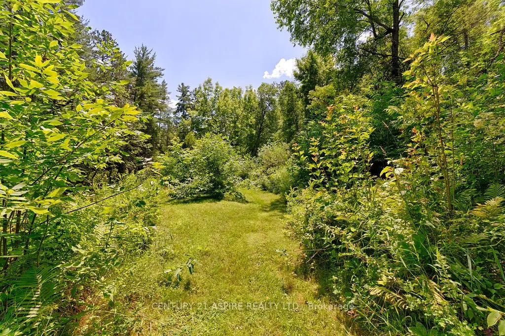 539 Schwan Road
