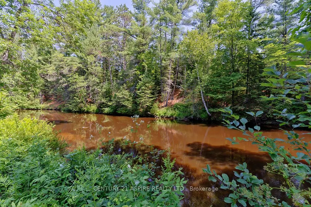 539 Schwan Road