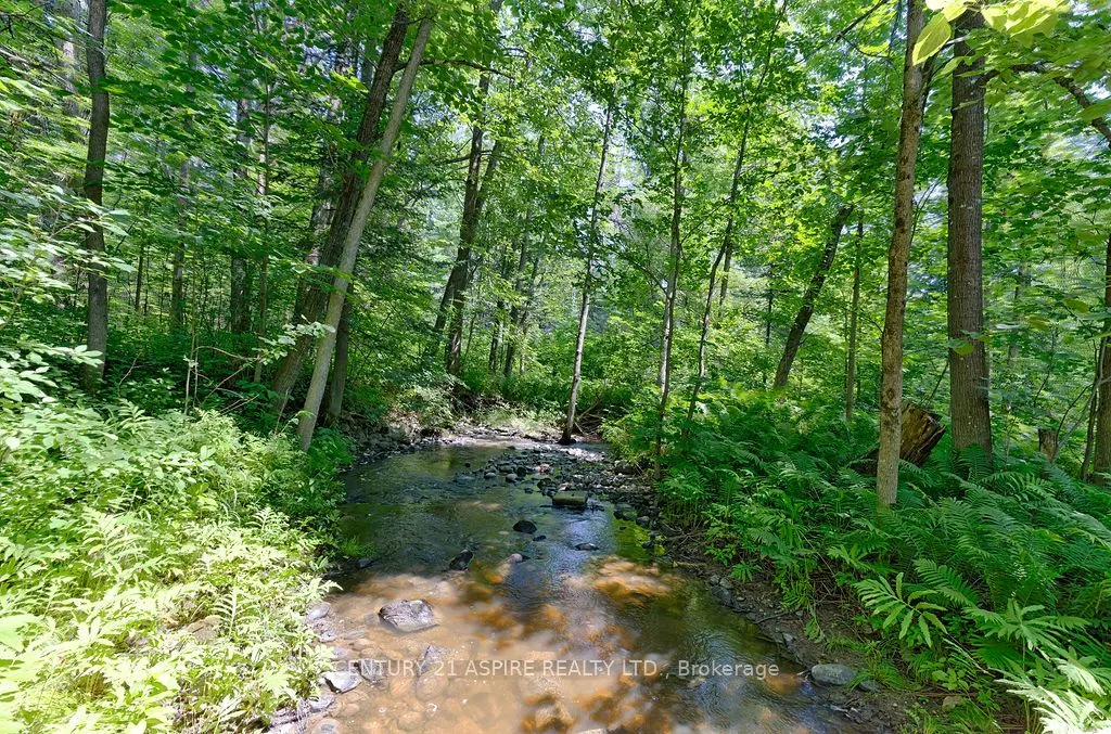 539 Schwan Road