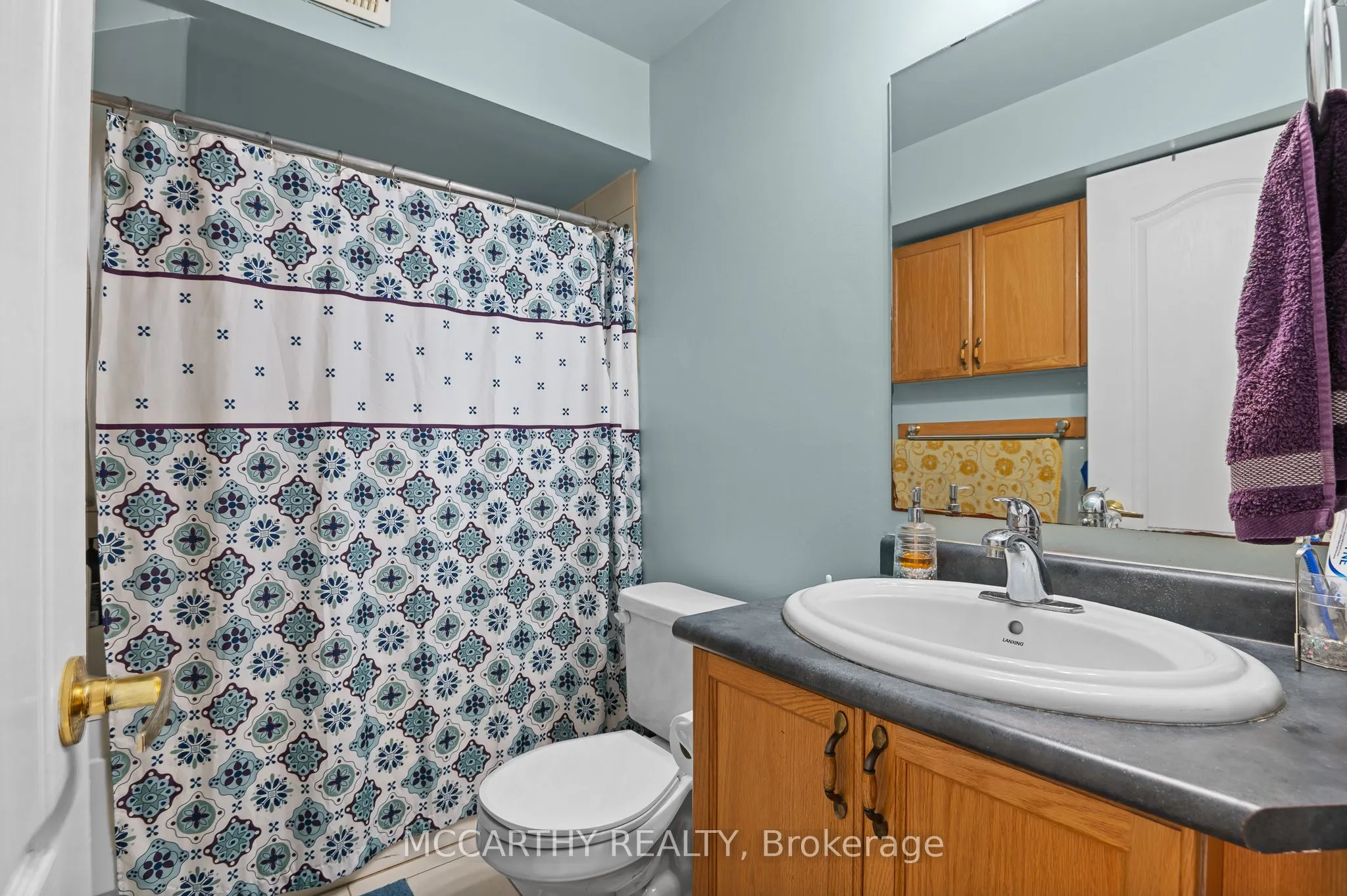 541 Fiddle Park Lane