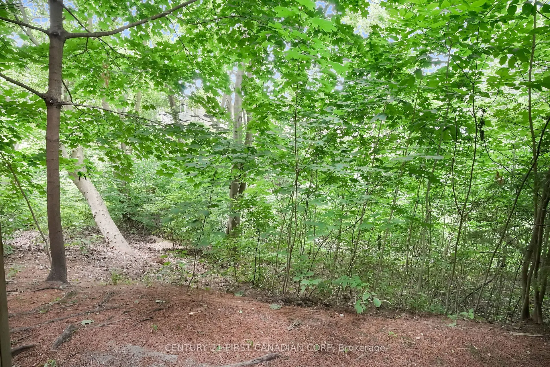 9 Ailsa Place #11