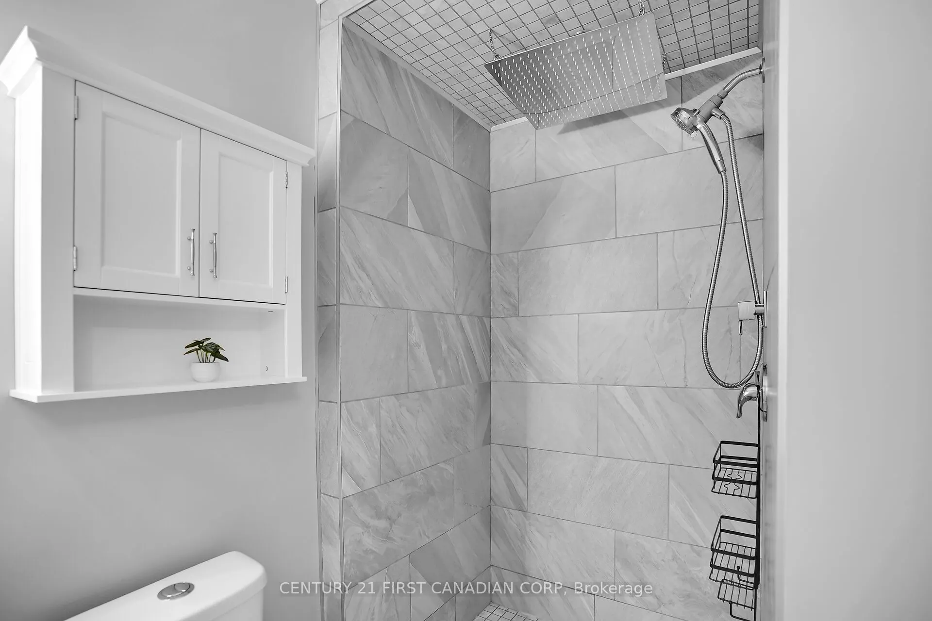 9 Ailsa Place #11